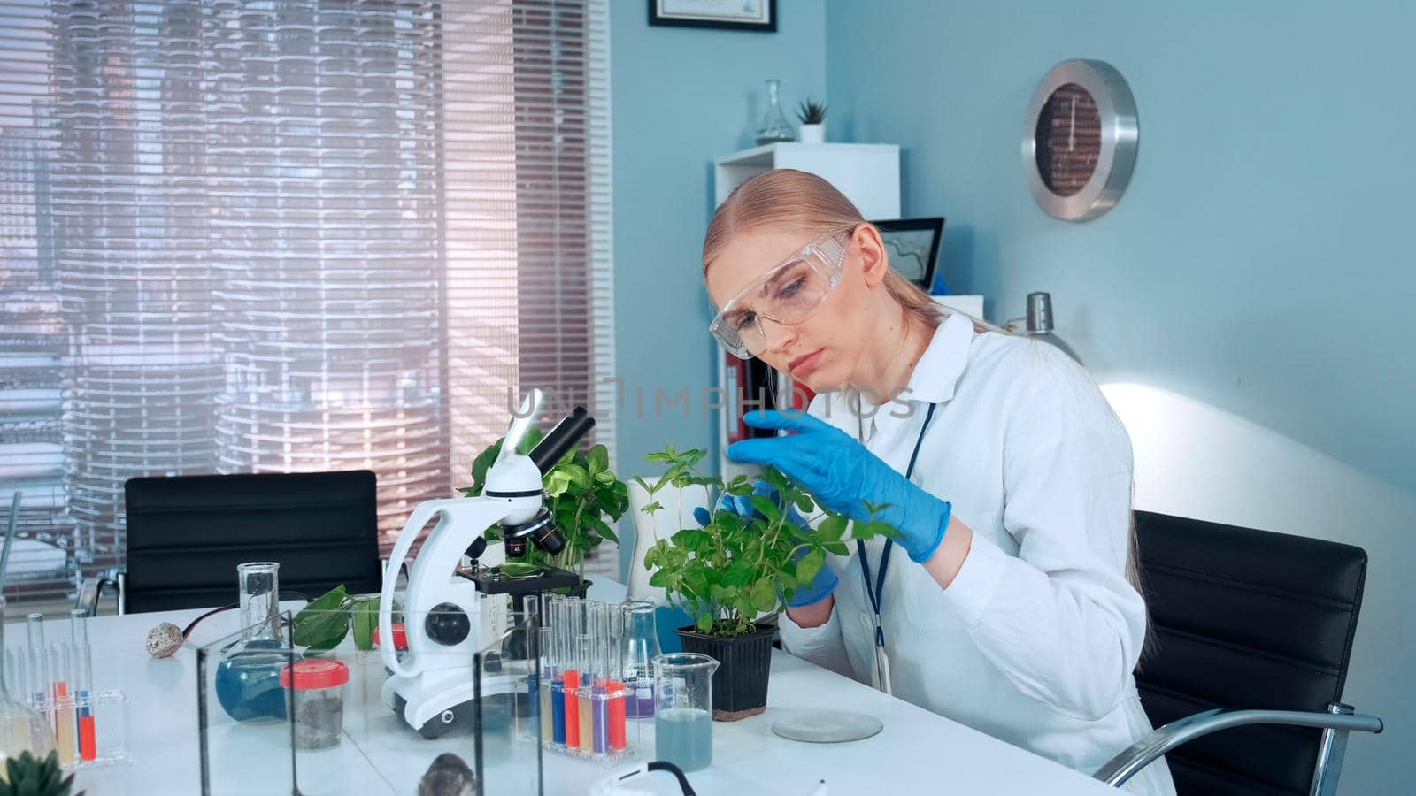 In modern lab research scientist examining the plant in pot with surgical pincers by art24pro