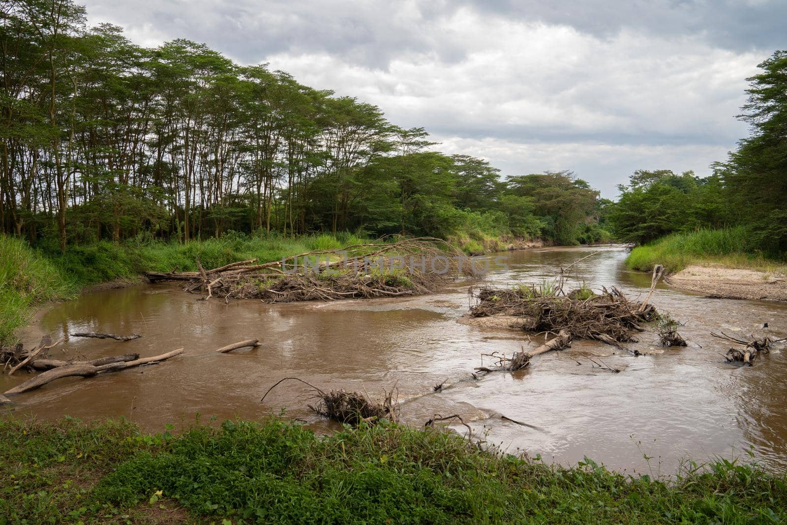 Panoramic landscape of Ishasha National Park in Uganda, East Africa