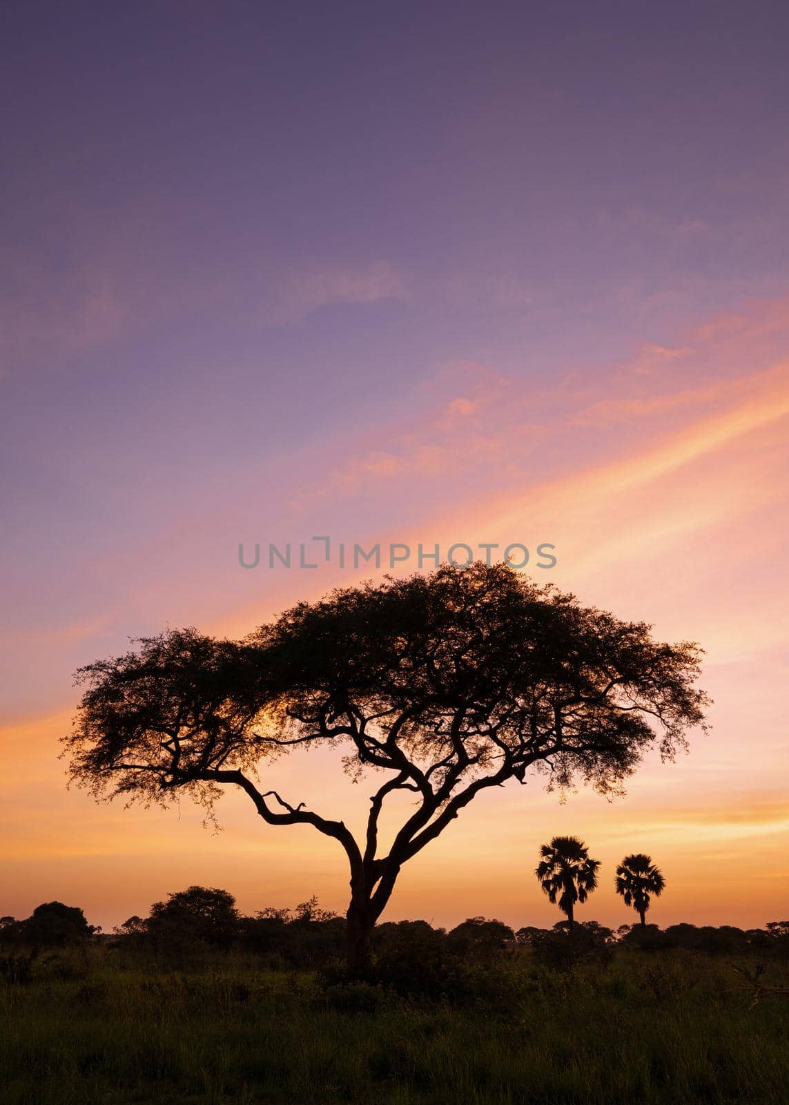 Sunrise, Uganda by alfotokunst