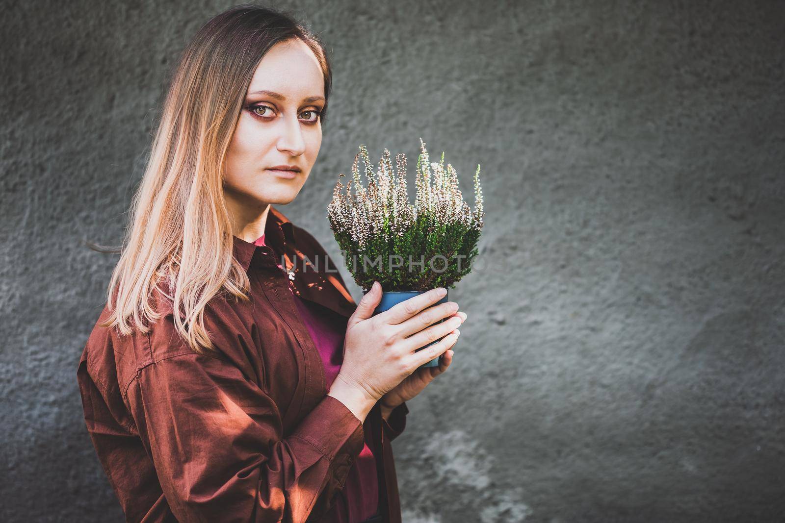 White woman holding a pot with white heather in her hands. Home gardening, house decoration with seasonal fall plants.