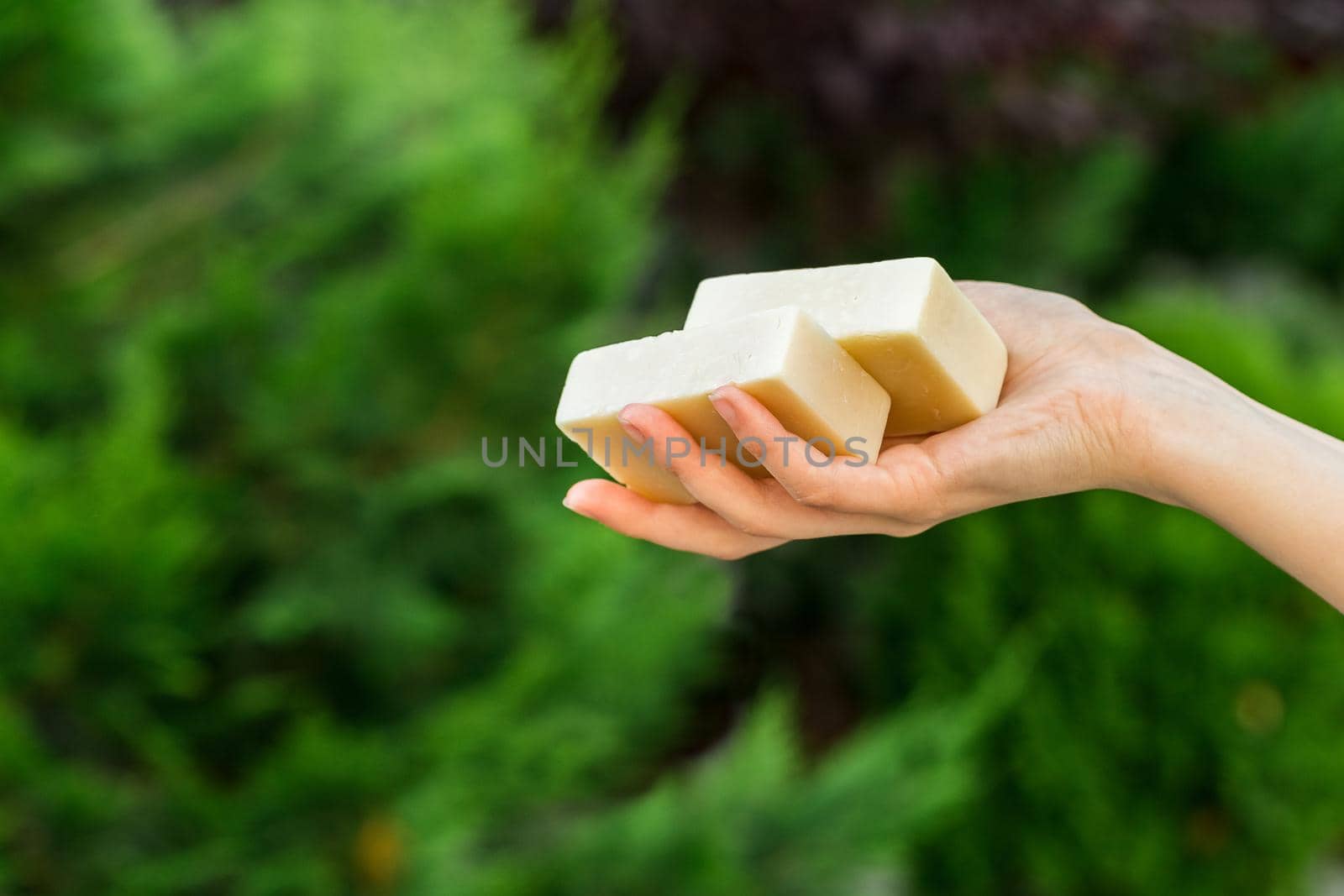 Woman hands holding organic soap or solid shampoo by Syvanych