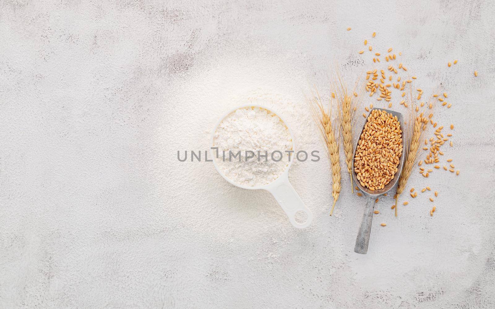 The ingredients for homemade pizza dough with wheat ears ,wheat flour and olive oil set up on white concrete background. top view and copy space. by kerdkanno