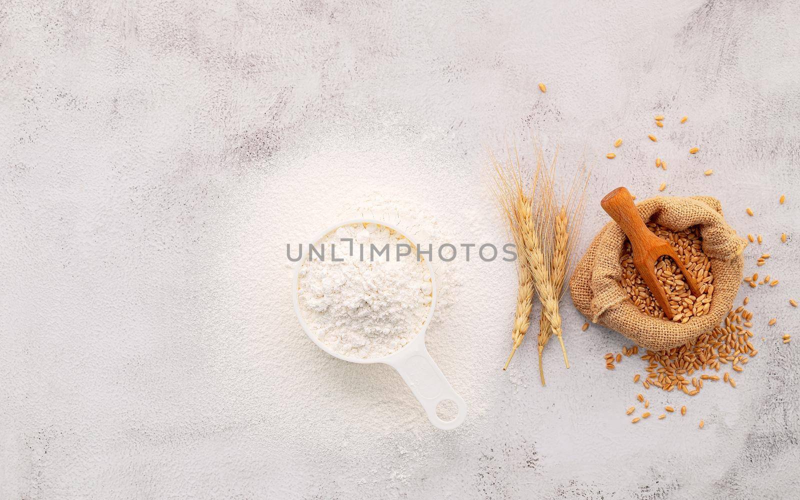 The ingredients for homemade pizza dough with wheat ears ,wheat flour and olive oil set up on white concrete background. top view and copy space.