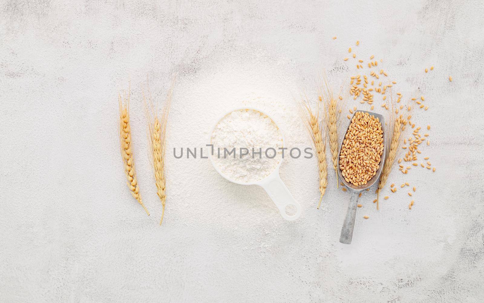 The ingredients for homemade pizza dough with wheat ears ,wheat flour and olive oil set up on white concrete background. top view and copy space.