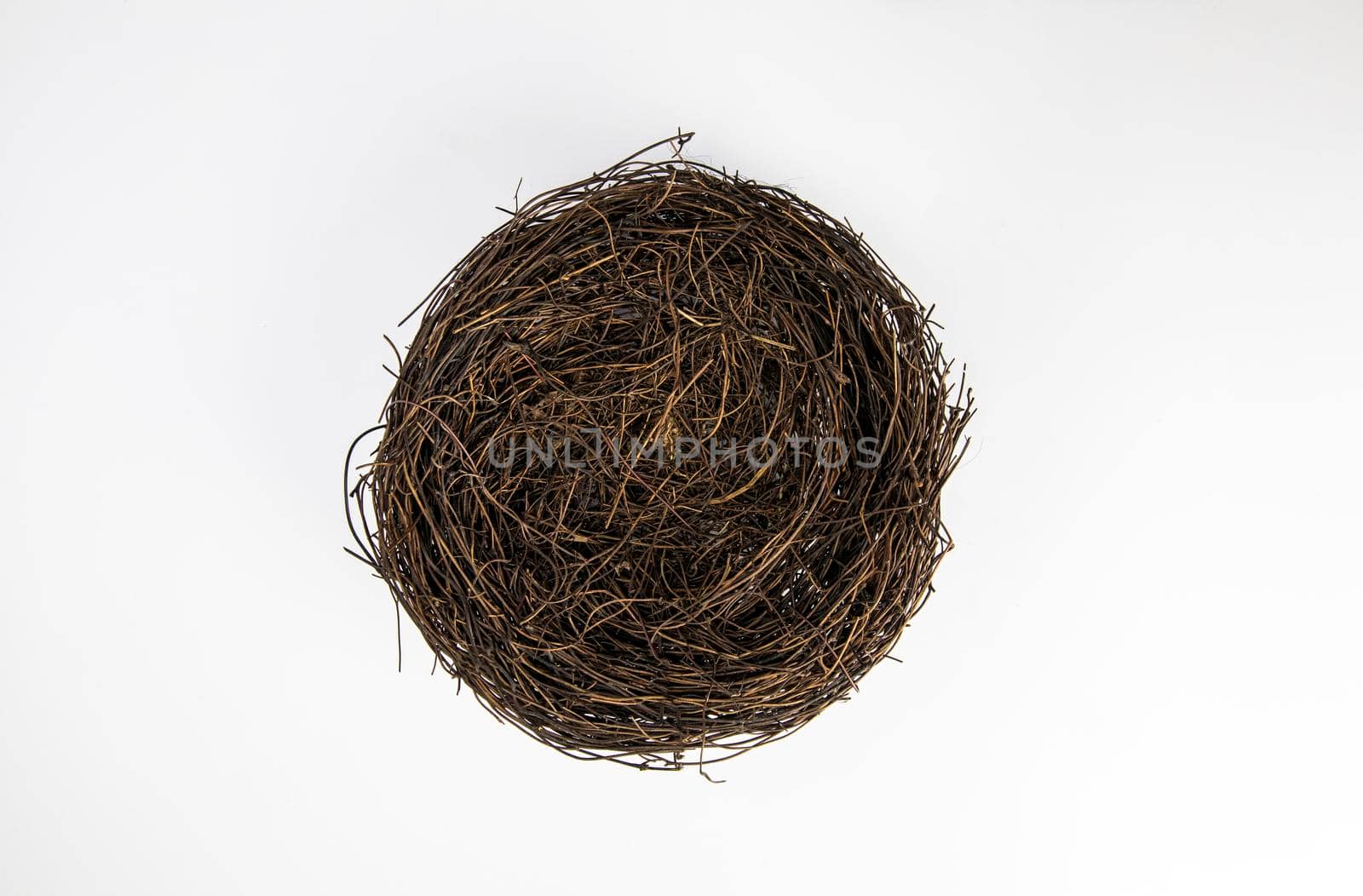 Empty bird nest isolated on white background, copy space space for text