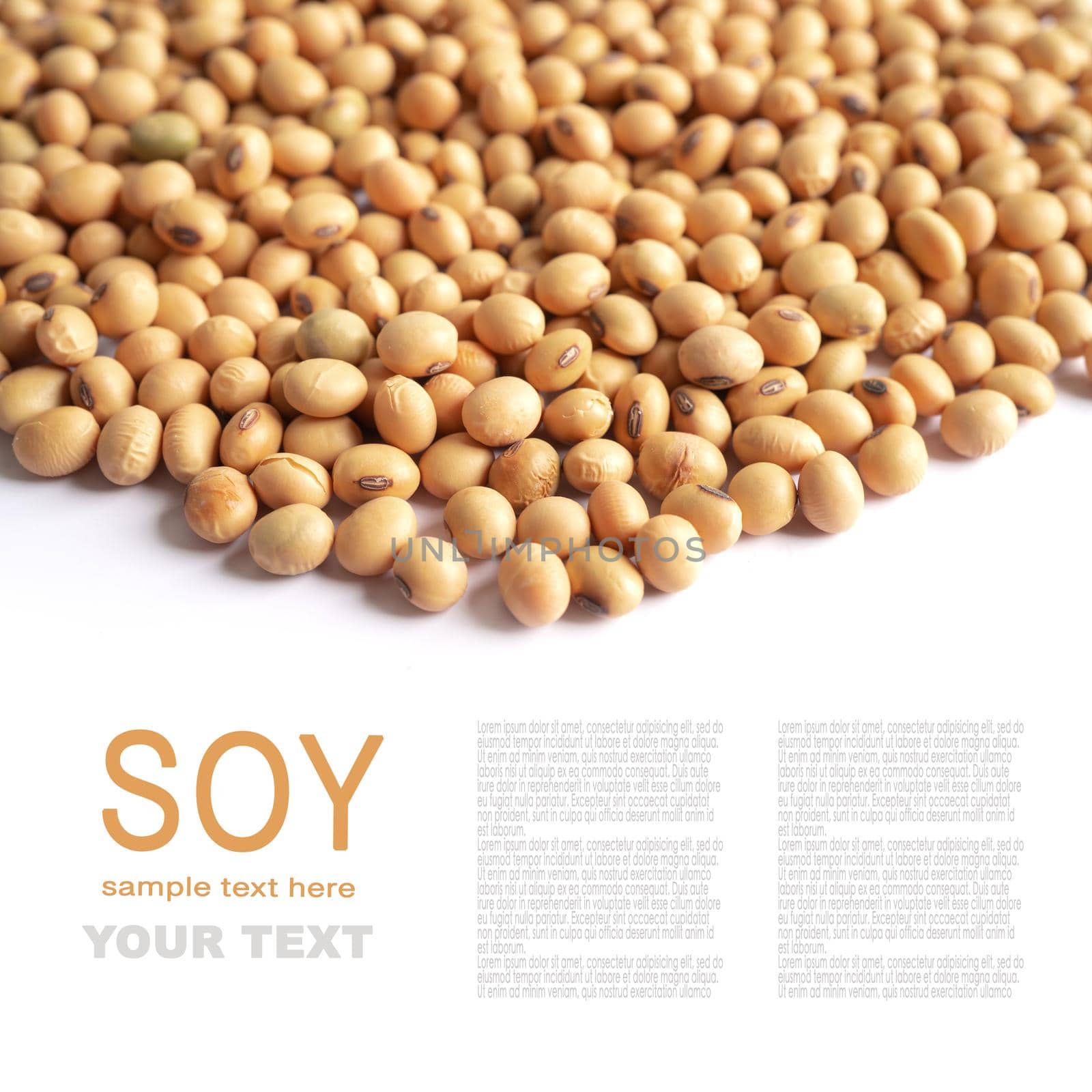 Whole grain soybeans organic isolated on white background with copy space. by pamai