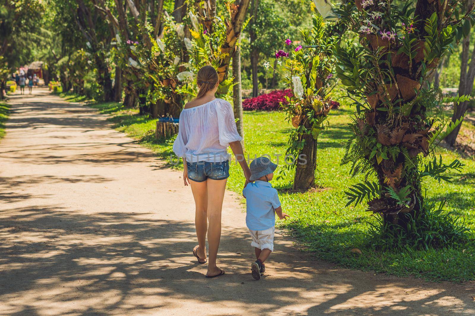 Mom and son are walking in the tropical park.