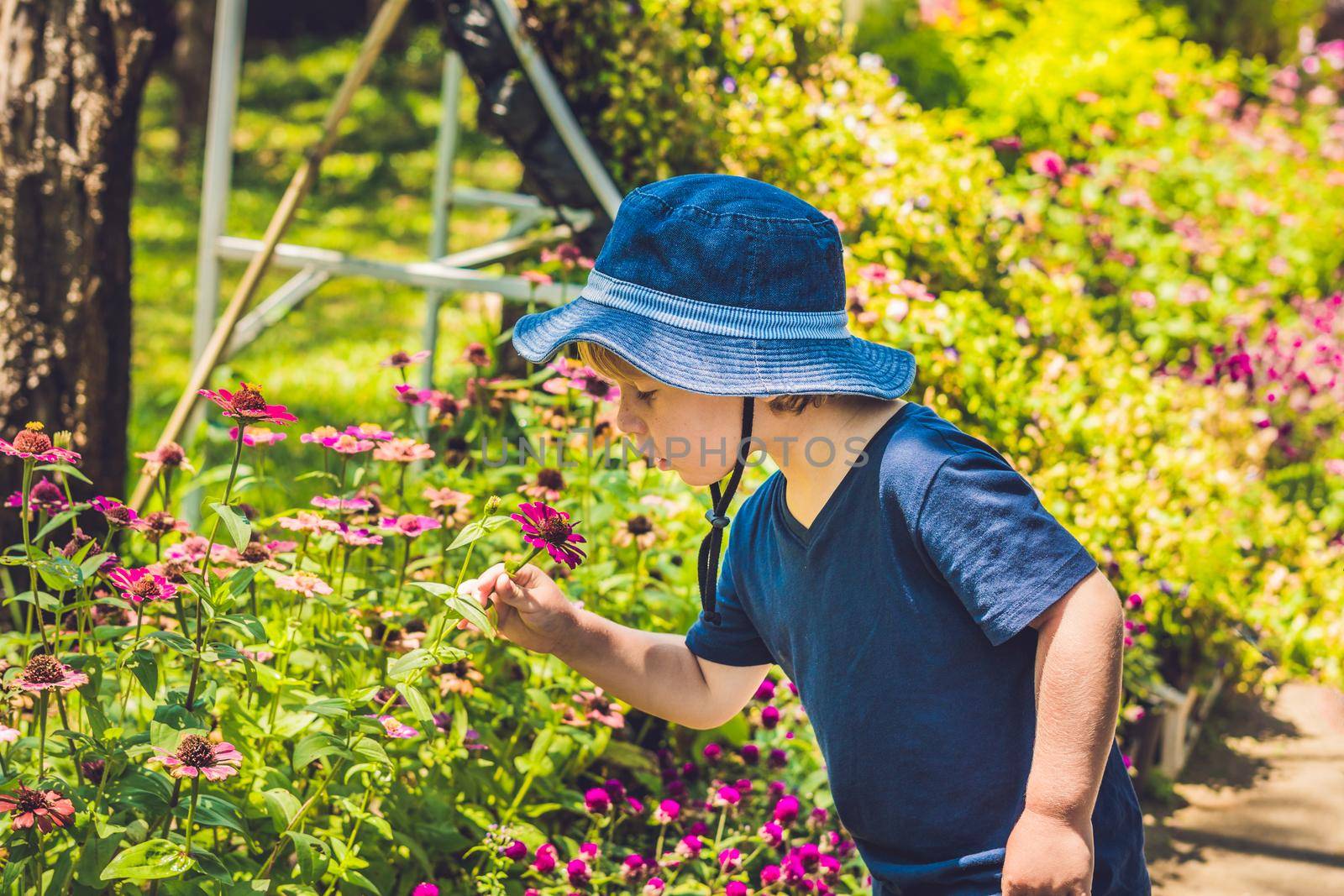 A boy in a panama smells a tropical flower.