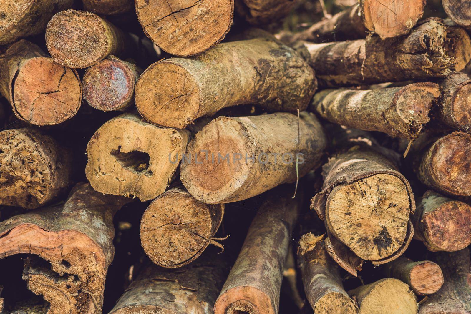 Closeup of logs of trees in nature, pile of wood logs ready for winter in the forest, firewood as a renewable energy source waiting to be transported.