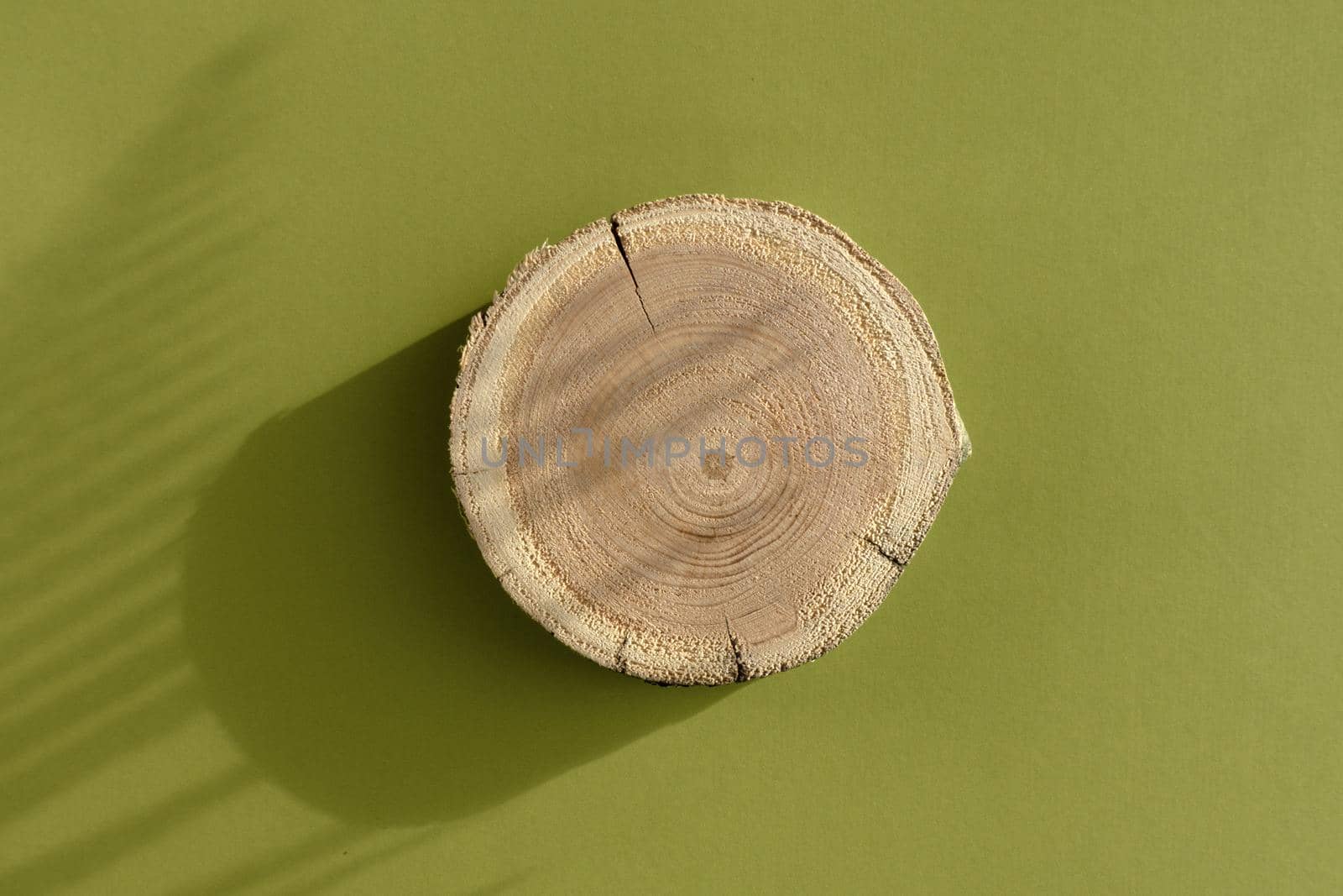 Woodcut lying on a trendy green background with shadows of fern. A wooden platform with shades for natural cosmetics or products presentation. Wooden tray mockup in the sunlight. Top view