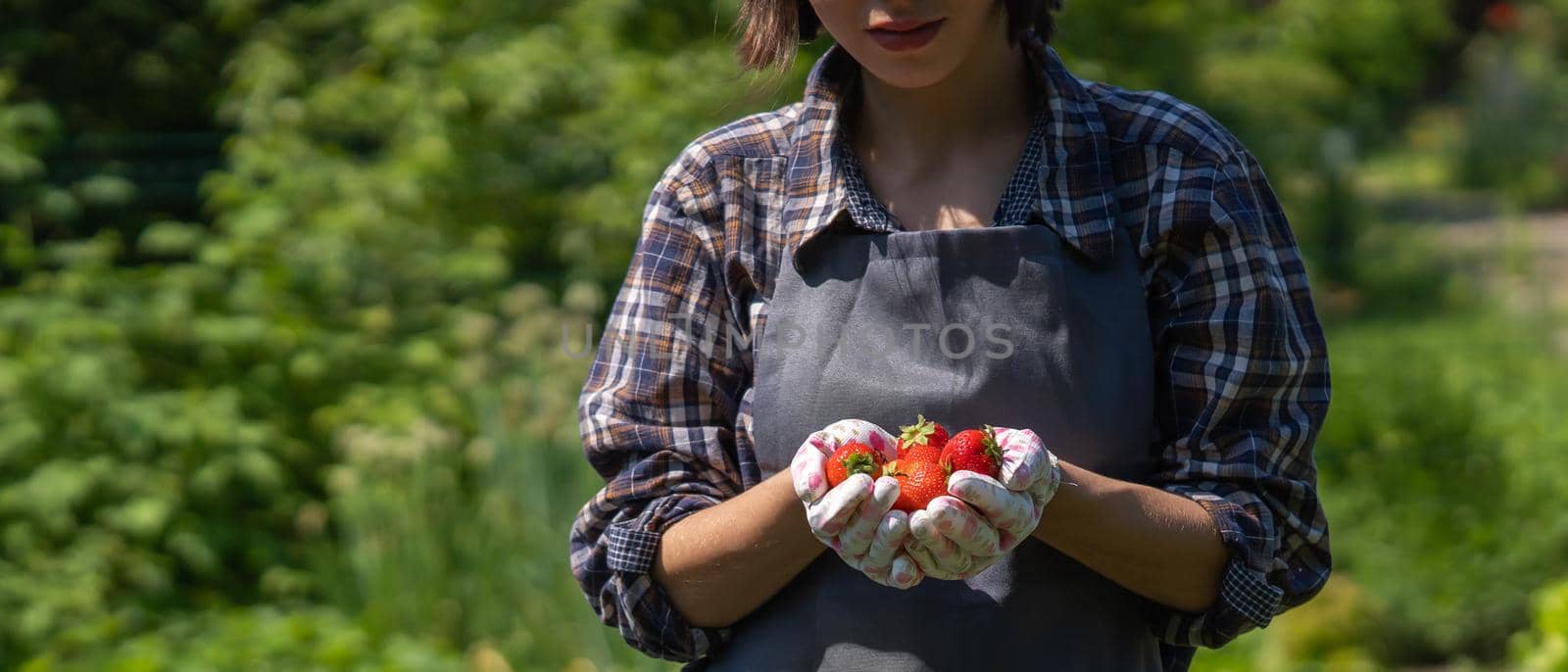 Young girl farmer with strawberries in her hands. by africapink