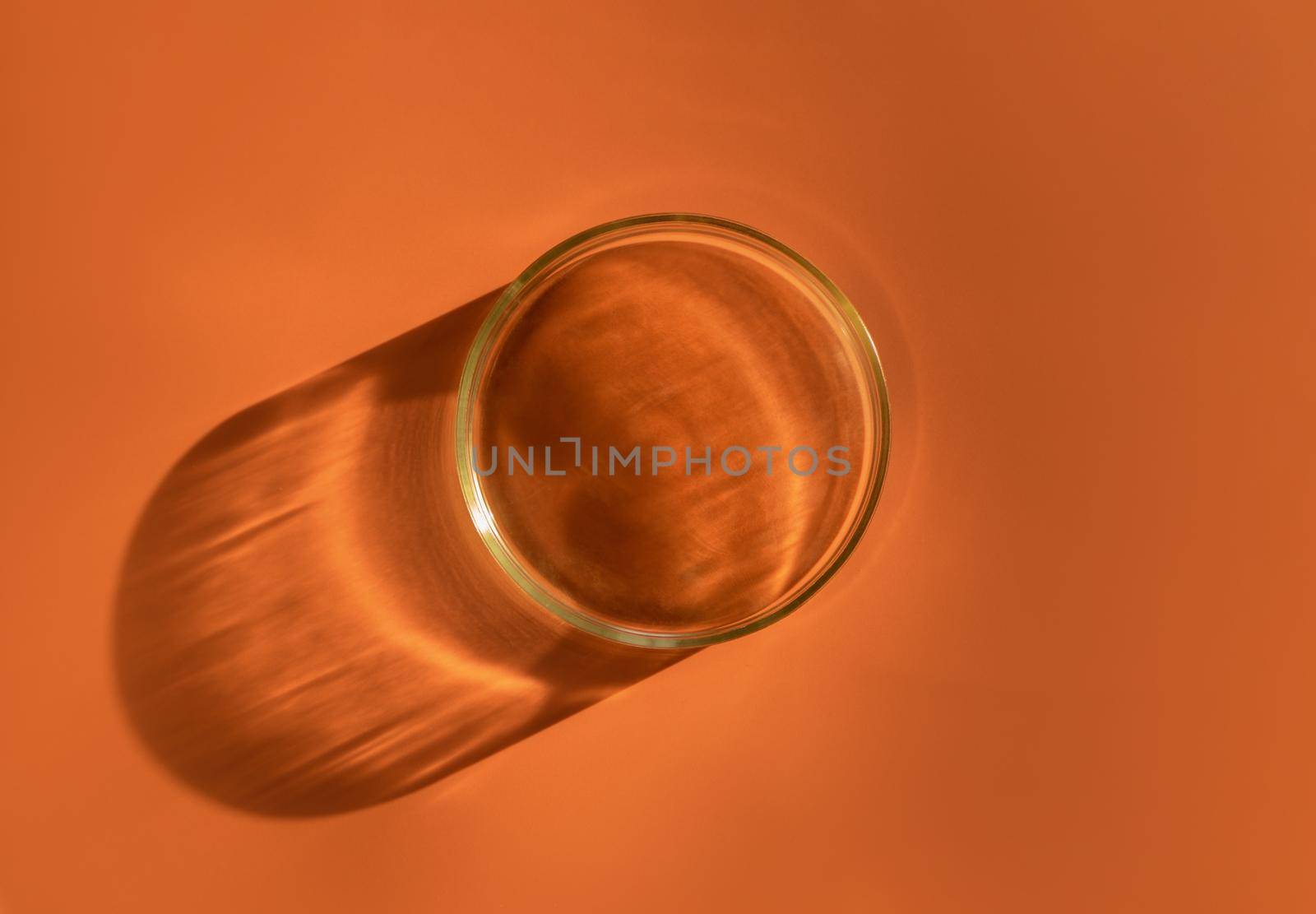 Empty laboratory glass petri for serum, oil, beauty products on orange background. Natural medicine, cosmetic research, bio science. Concept of skincare and analysis. Dermatology. Flat lay, top view