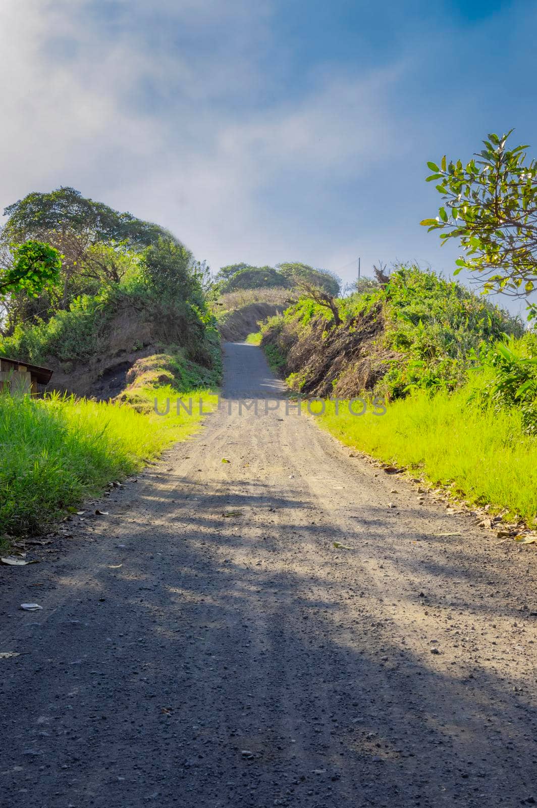 narrow road in the countryside, a small dirt road in the countryside with copy space by isaiphoto
