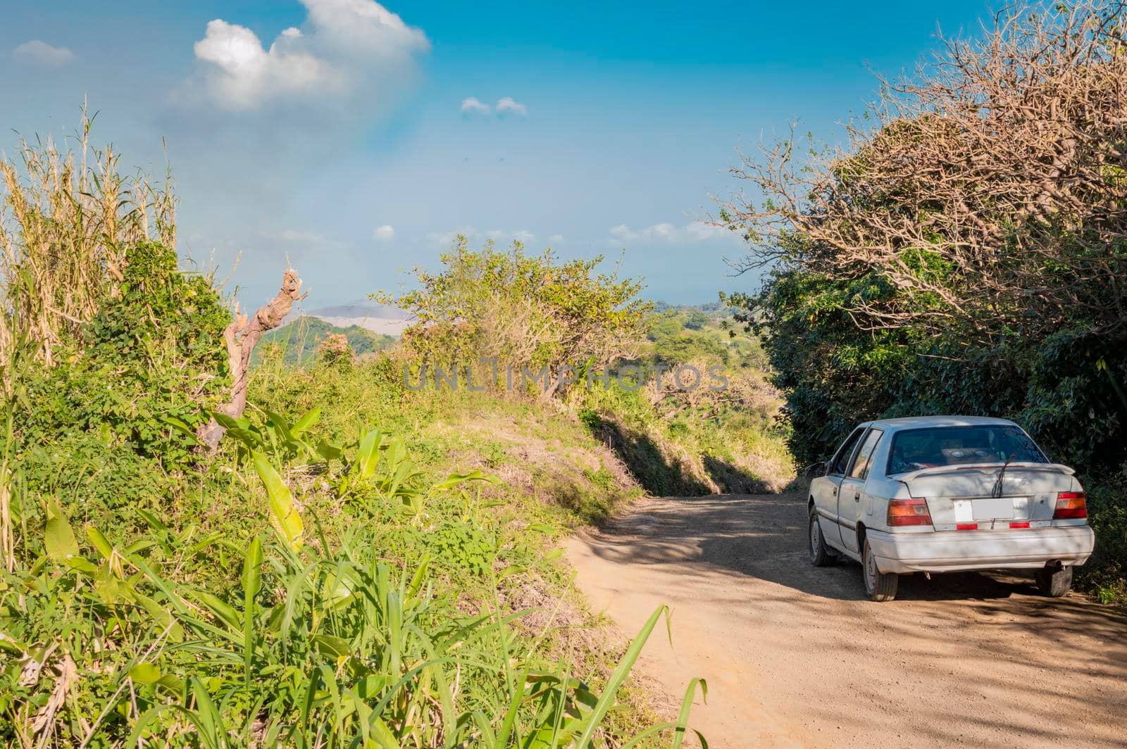 A car parked on a road surrounded by greenery, white car parked on the road with blue sky