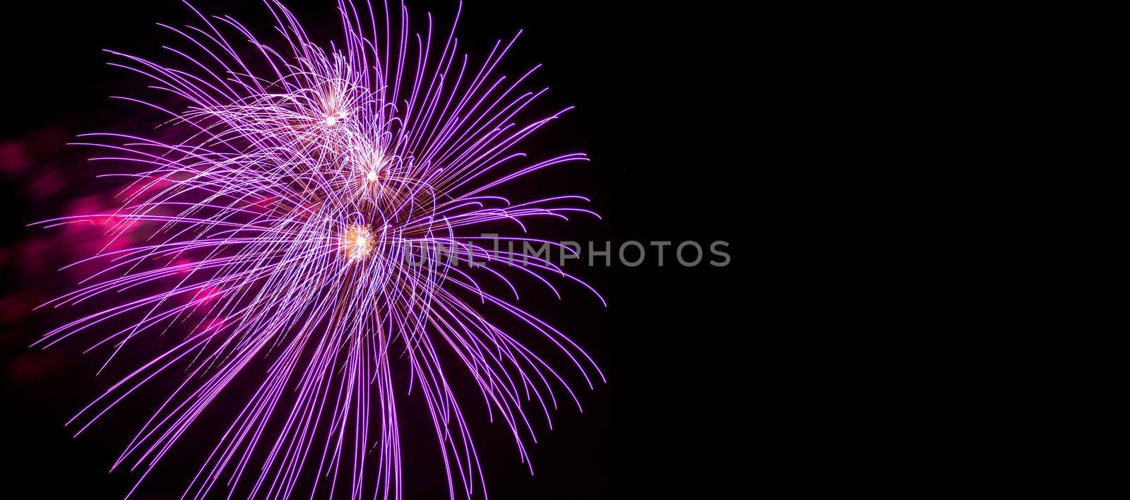 Flash of violet fireworks on background black sky. Concept of holiday. Banner, copy space. by Laguna781