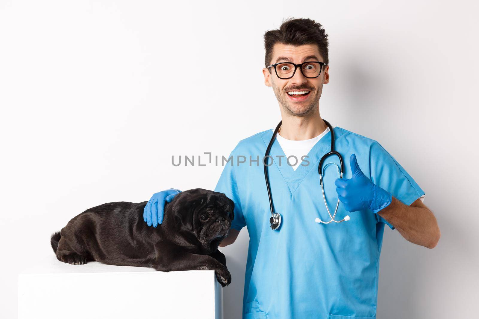 Happy male doctor veterinarian examining cute black dog pug, showing thumb up in approval, satisfied with animal health, standing over white background.