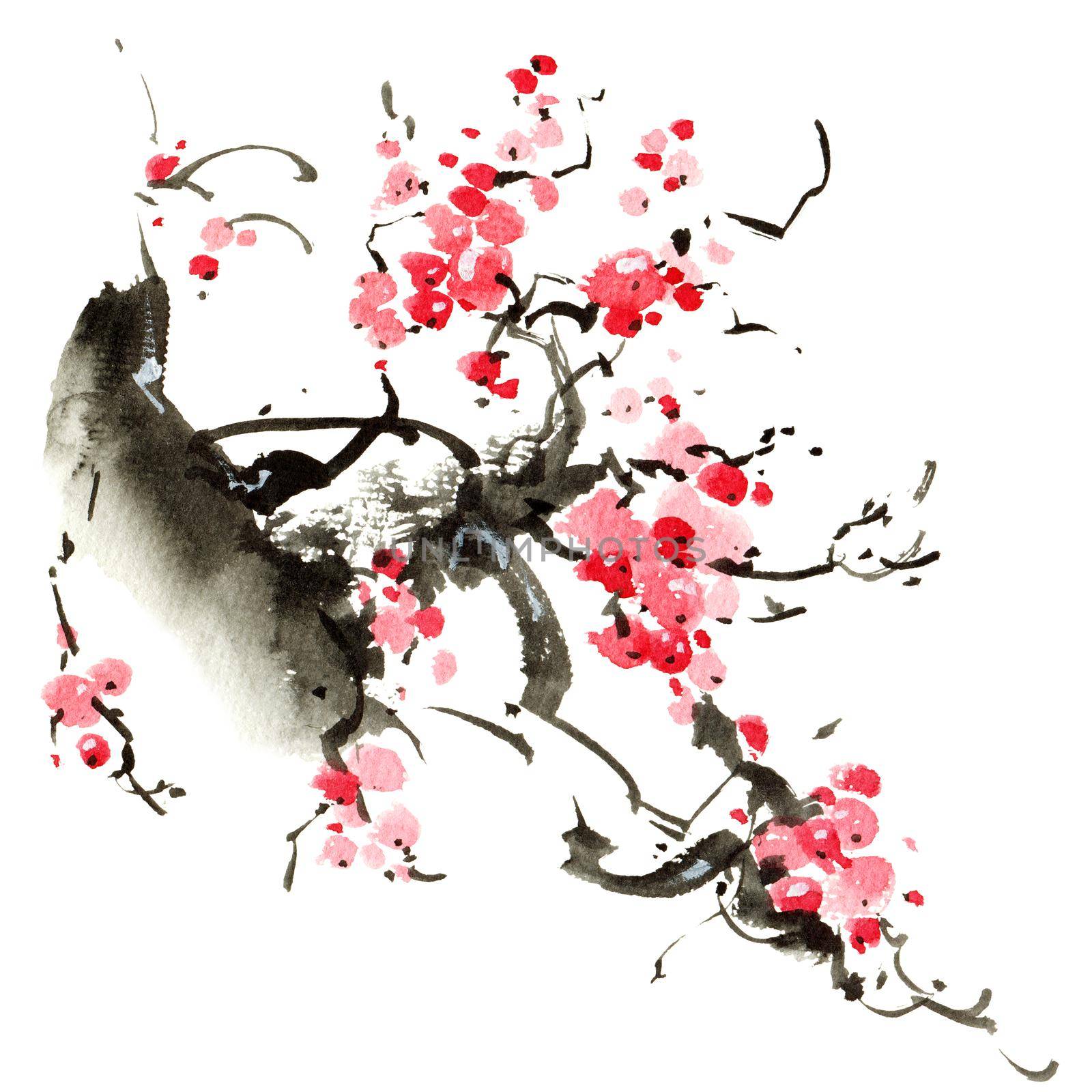 Watercolor and ink illustration of blossom sakura tree with pink flowers. Oriental traditional painting by ink and watercolor in sumi-e style.