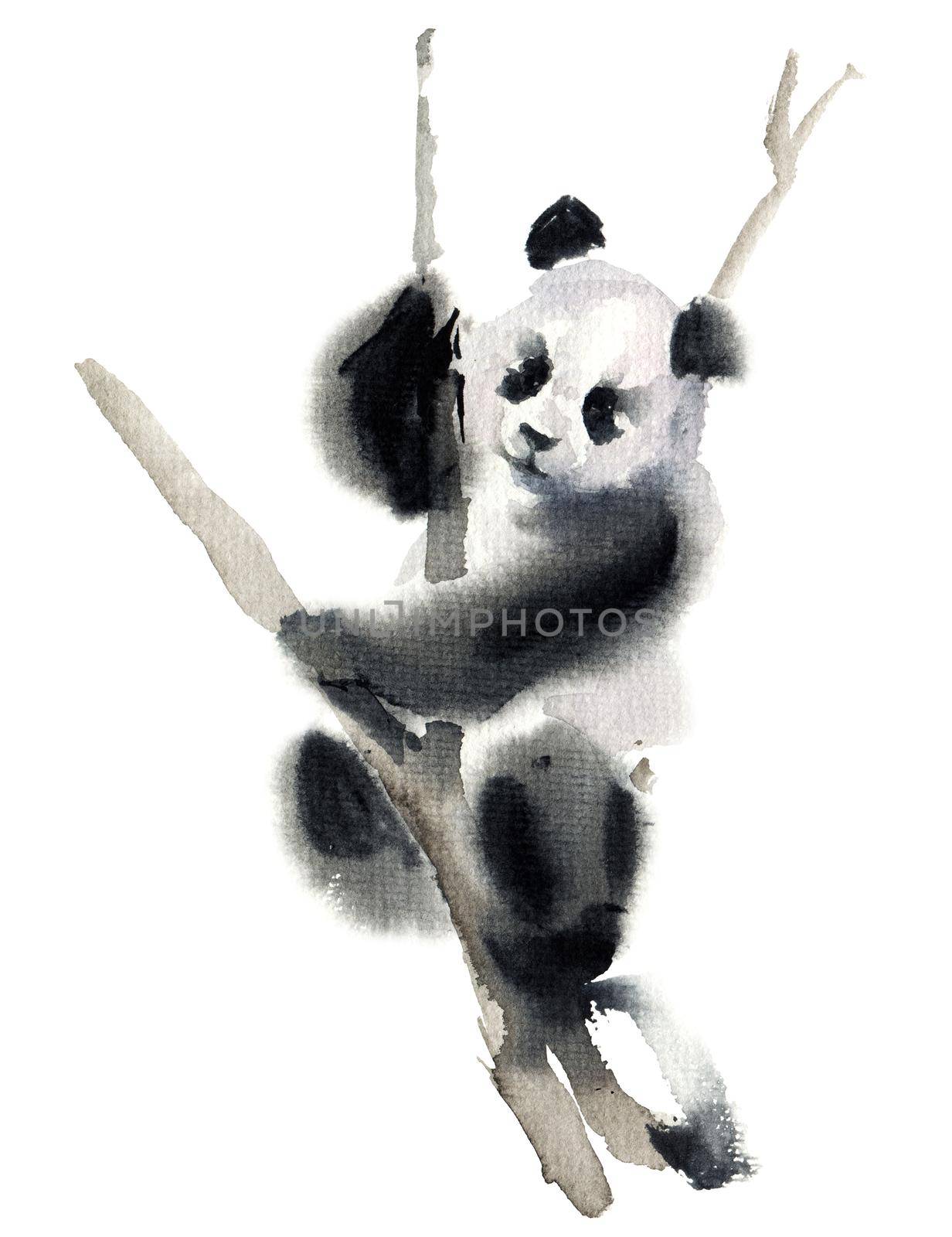 Watercolor and ink illustration of panda bear on the tree. Oriental traditional painting by ink and watercolor in sumi-e style.