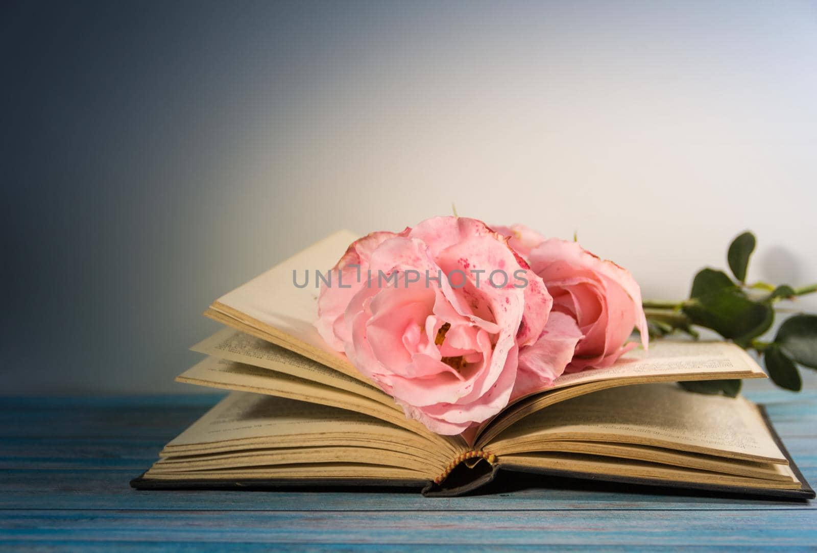 pink roses and books on rustic wood by GabrielaBertolini