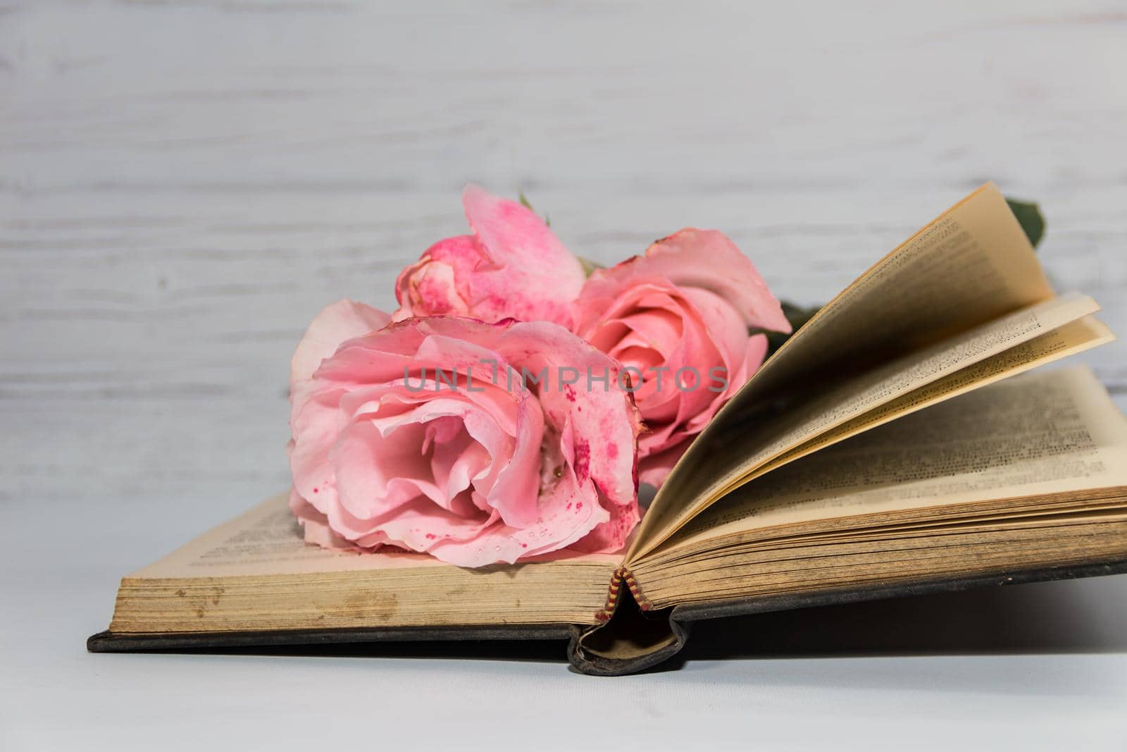 pink roses and books on rustic wood by GabrielaBertolini