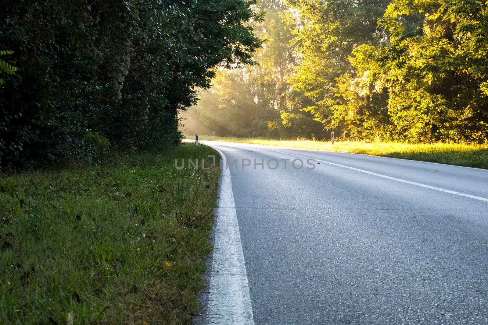 The road, which at the bend is illuminated by sunlight. It represented inspiration, God's apparitions, enlightenment