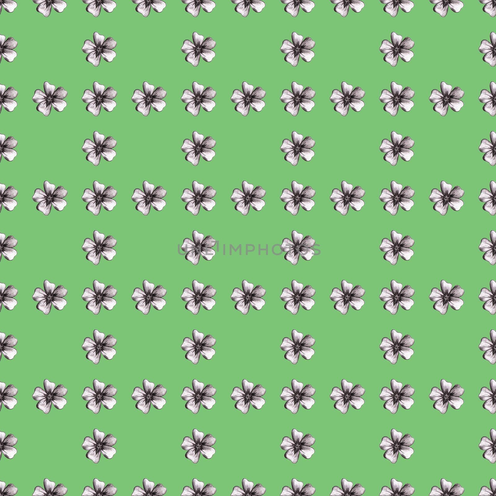 Seamless Pattern with Hand-Drawn Flower. Light Green Background with Thin-leaved Marigolds for Print, Design, Holiday, Wedding and Birthday Card.