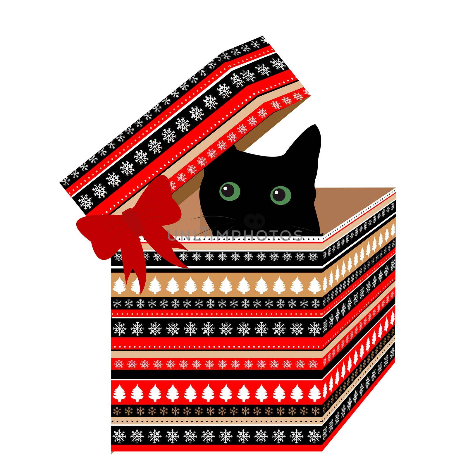 Gift box for Christmas with black cat in it