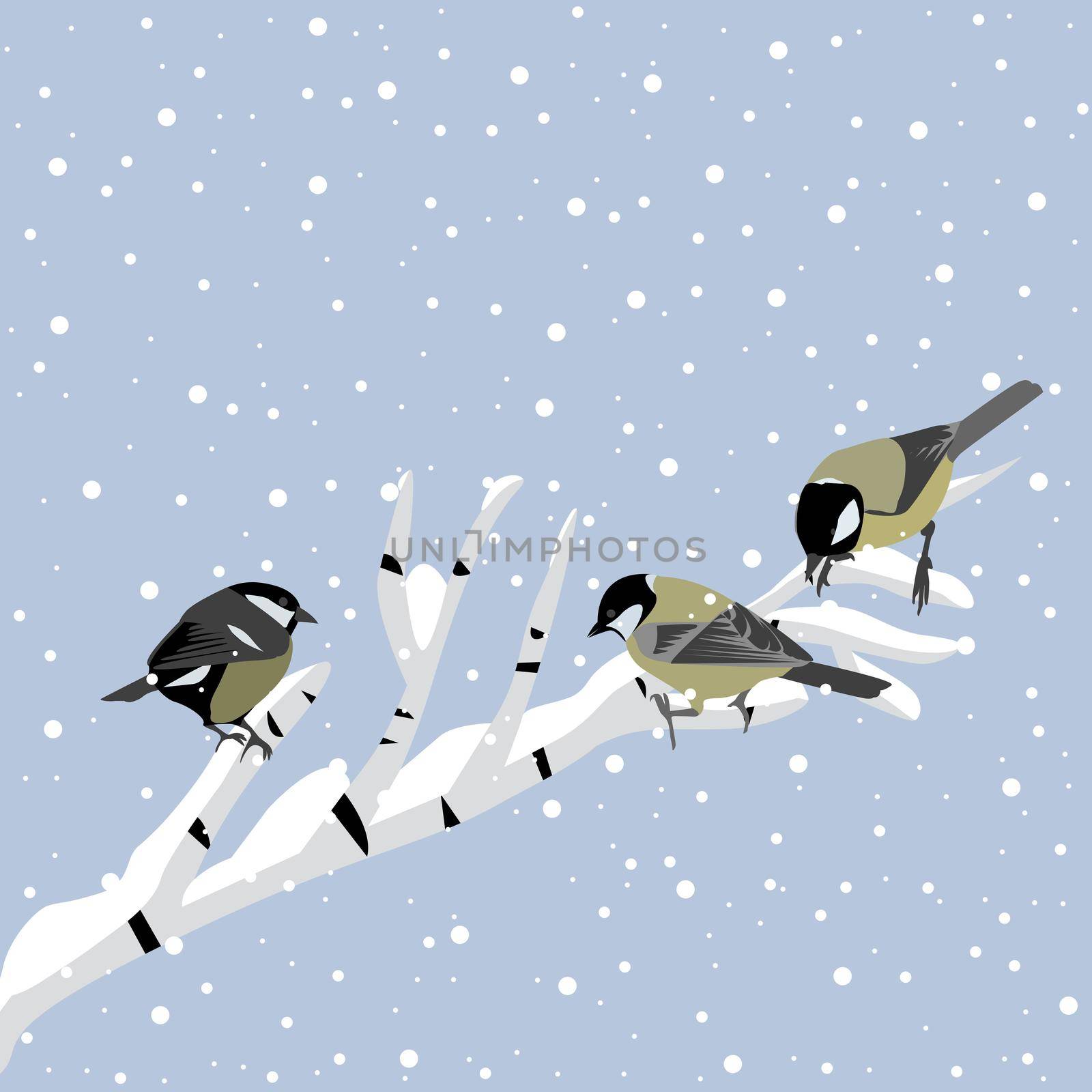 Winter background with tits on birch branch by hibrida13