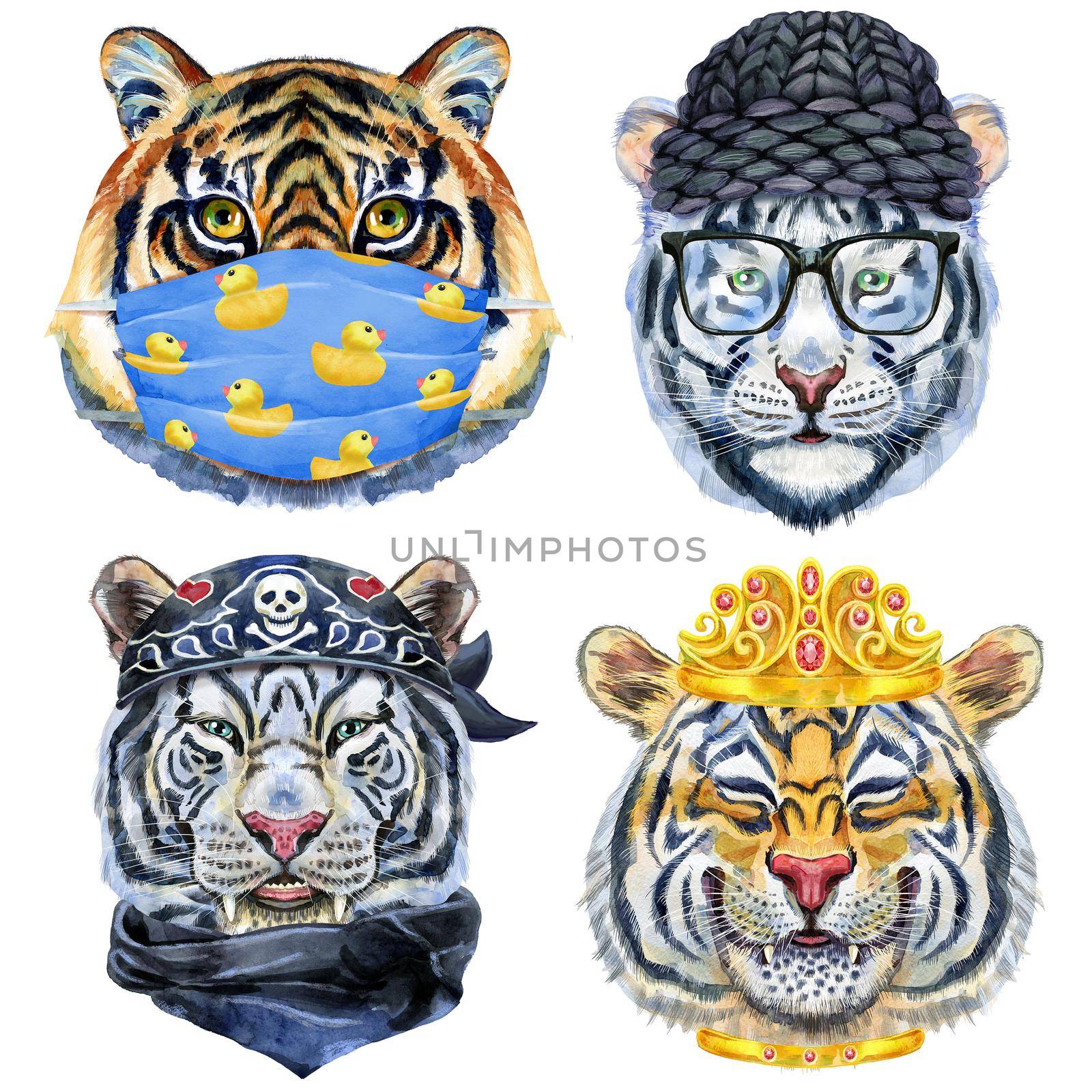 Watercolor illustration of tigers in a knitted winter hat, biker bandana, medical mask and a golden crown
