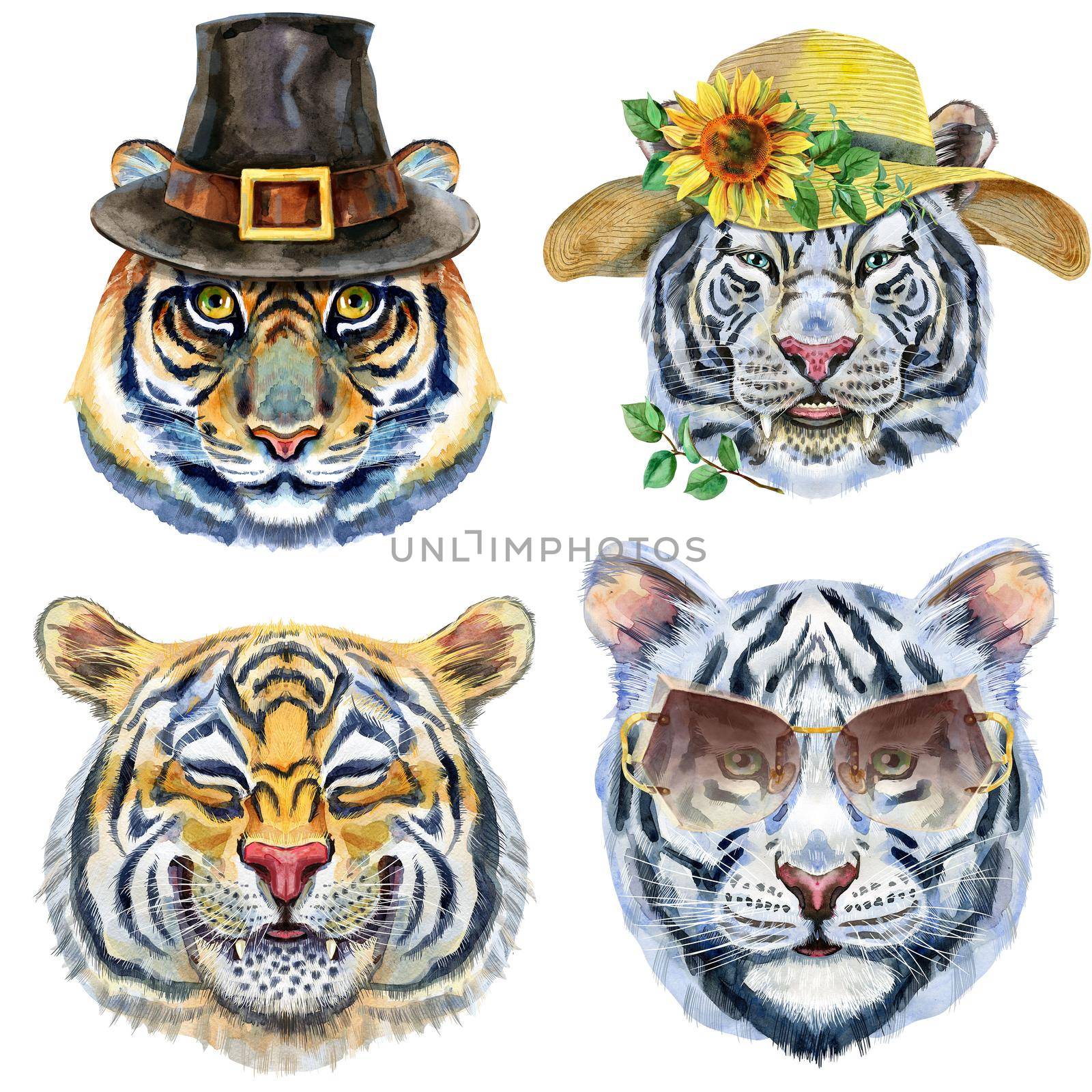 Watercolor illustration of tigers in a Pilgrim hat, summer hat and glasses