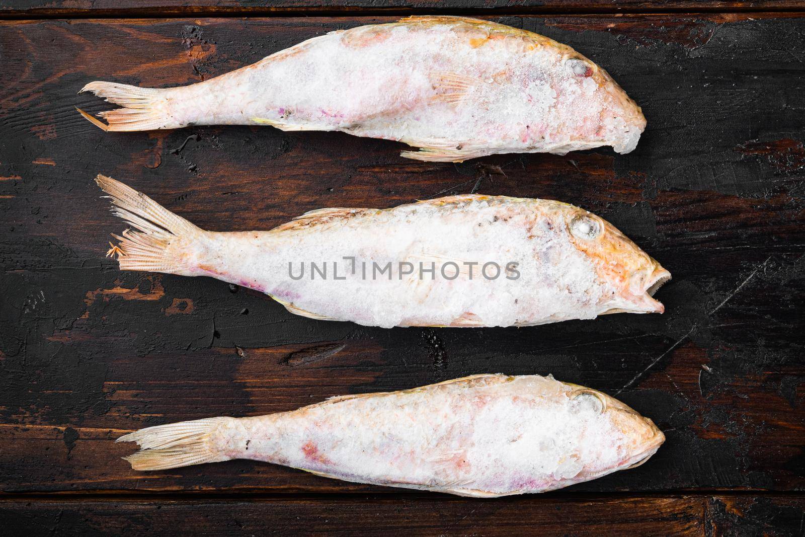 Frozen Goatfish raw fish set, on old dark wooden table background, top view flat lay