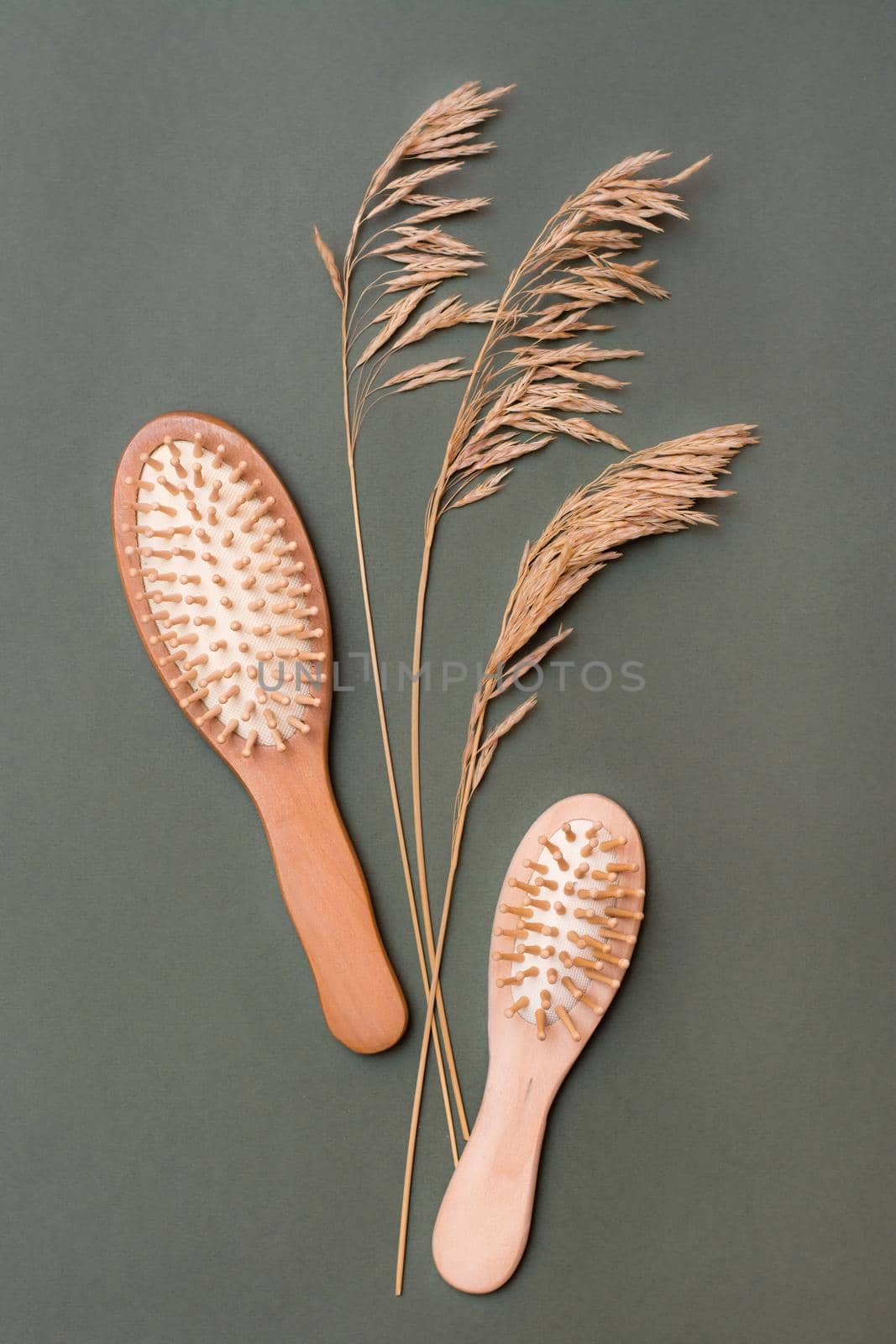 Hair care. Two wooden combs and ears of grass on a green background. Vertical view