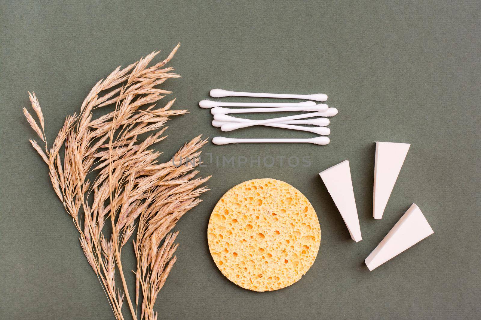 Makeup items. Two types of sponges, cotton swabs and ears of grass on a green background