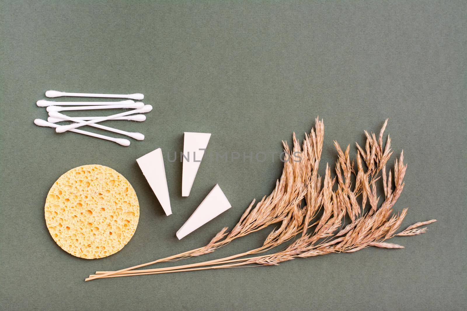 Makeup items. Two types of sponges, cotton swabs and ears of grass on a green background. Copy space