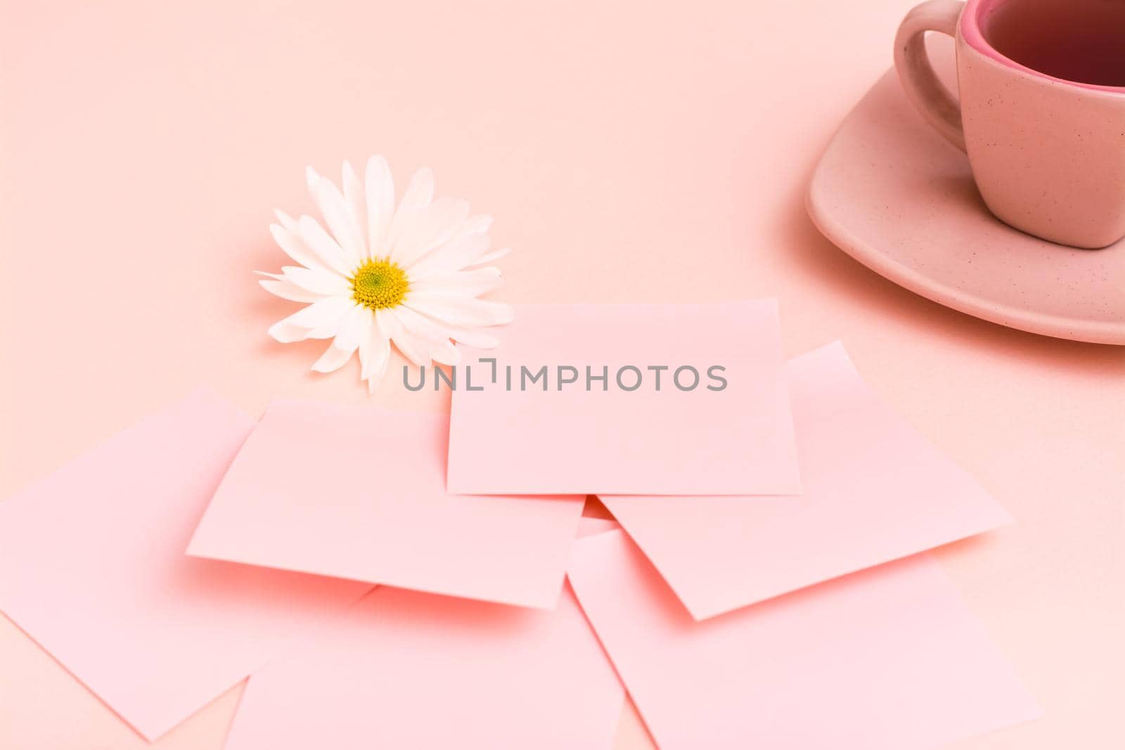 The concept is pink. A cup of coffee, sheets for writing, a pen and a chrysanthemum on a pink background.
