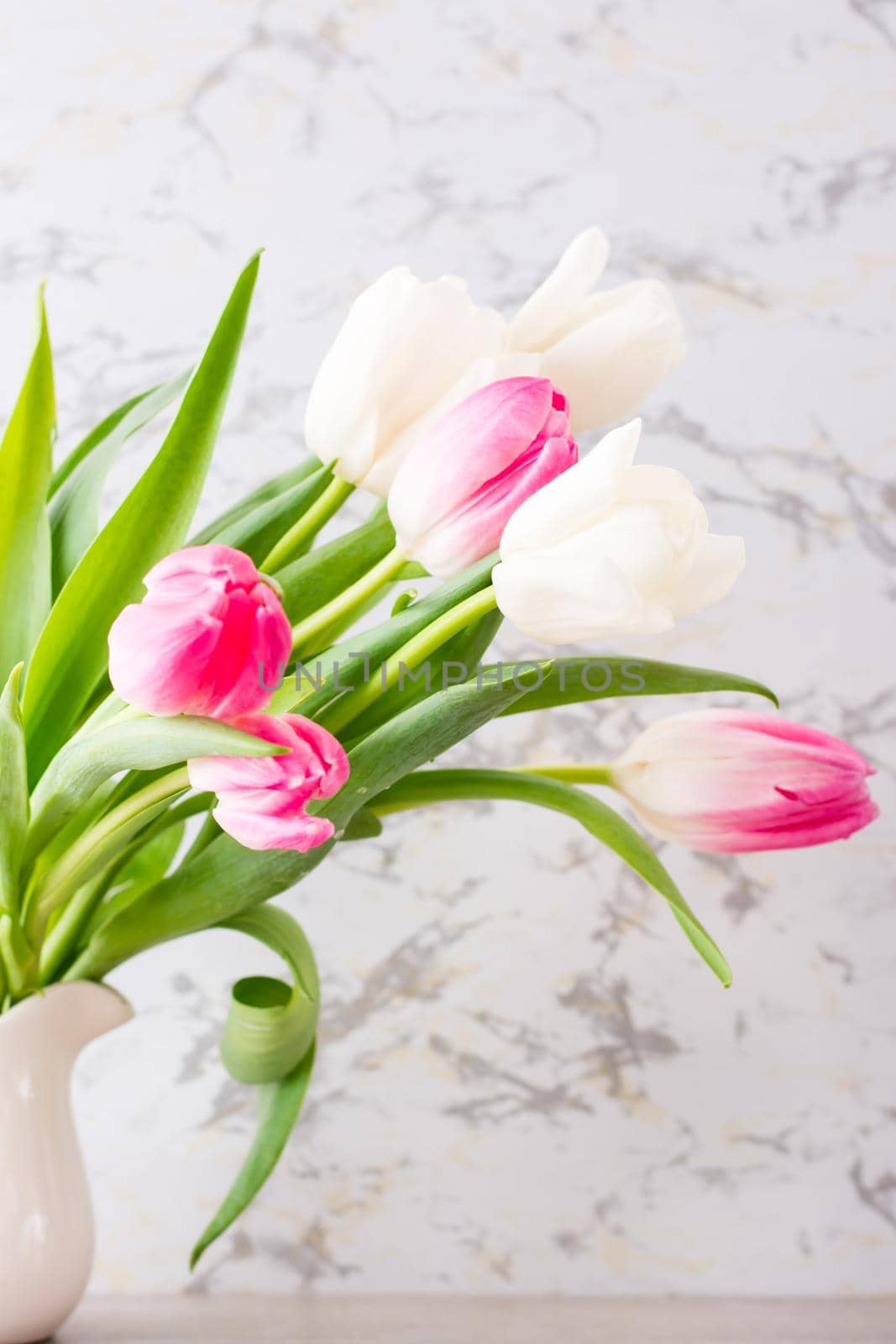 A bouquet of white and pink tulips with green leaves stands in a jug on the table. Vertical view. Delicate postcard