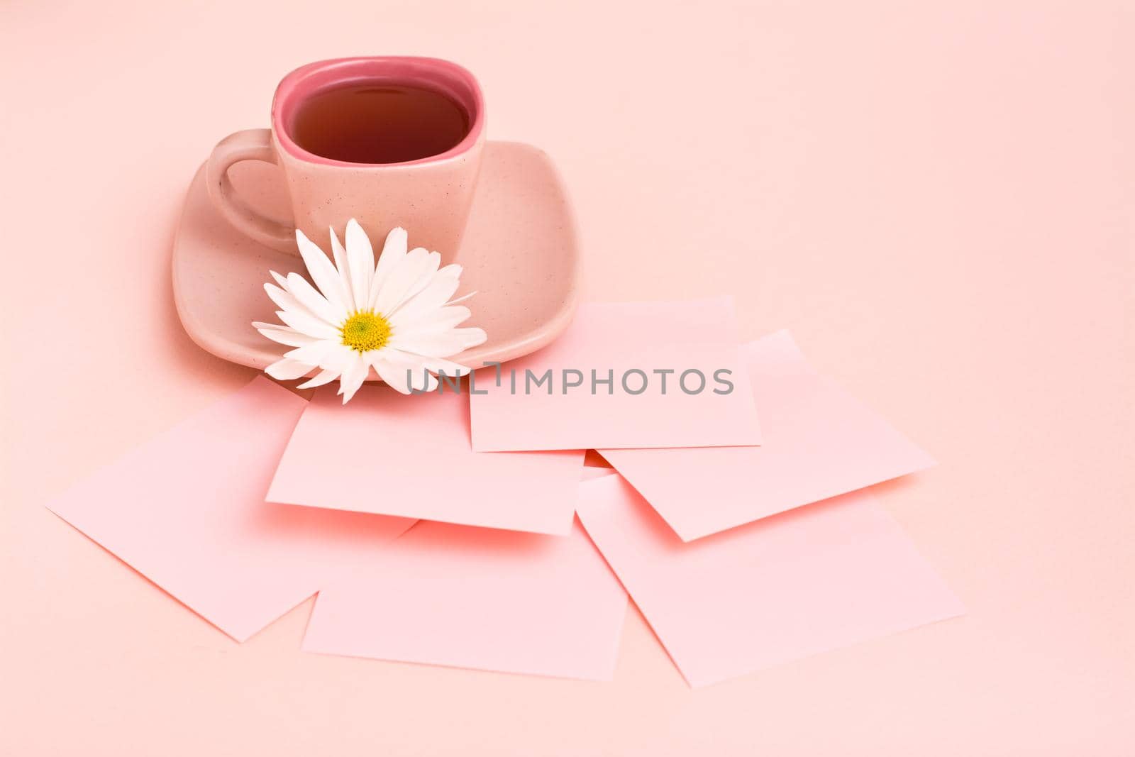 The concept is pink. Pink drink in a coffee cup,  writing sheets and chrysanthemum on a pink background. Copy space by Aleruana