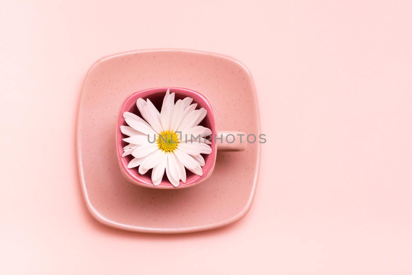 Pink concept. Empty square coffee cup with flower on saucer on pink background. Top view by Aleruana