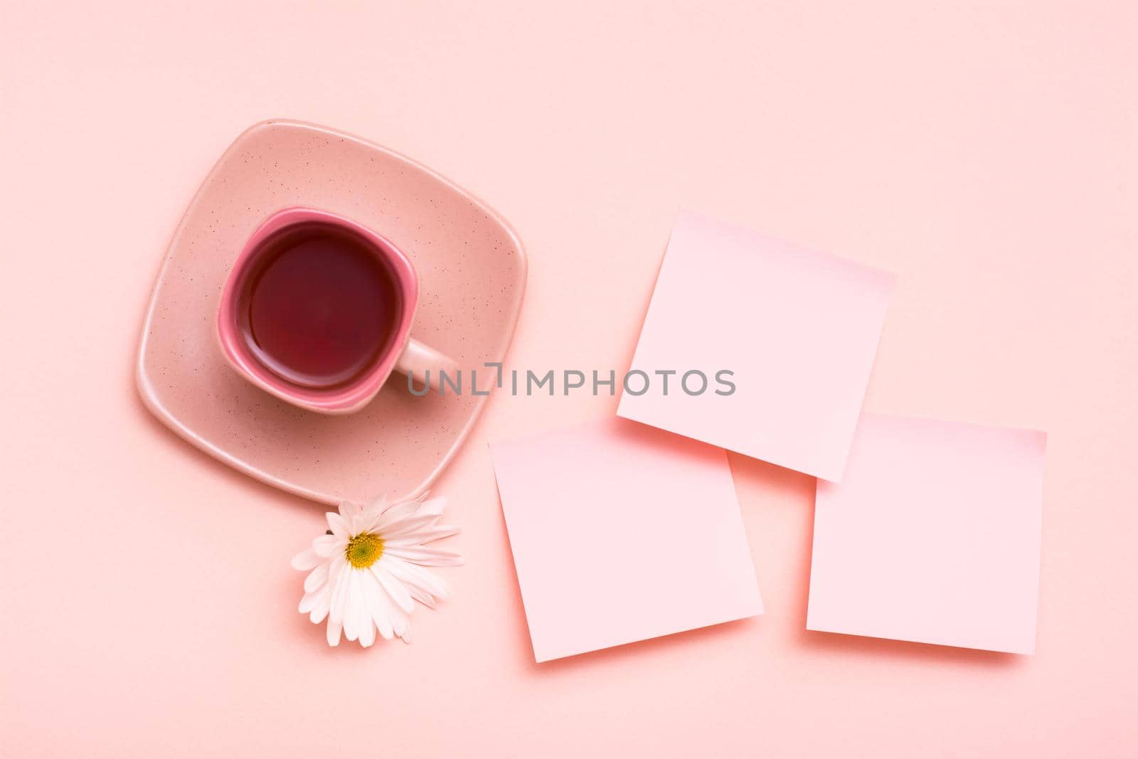 The concept is pink. Pink drink in a coffee cup, leaf for writing and chrysanthemum on a pink background. Top view. Copy space