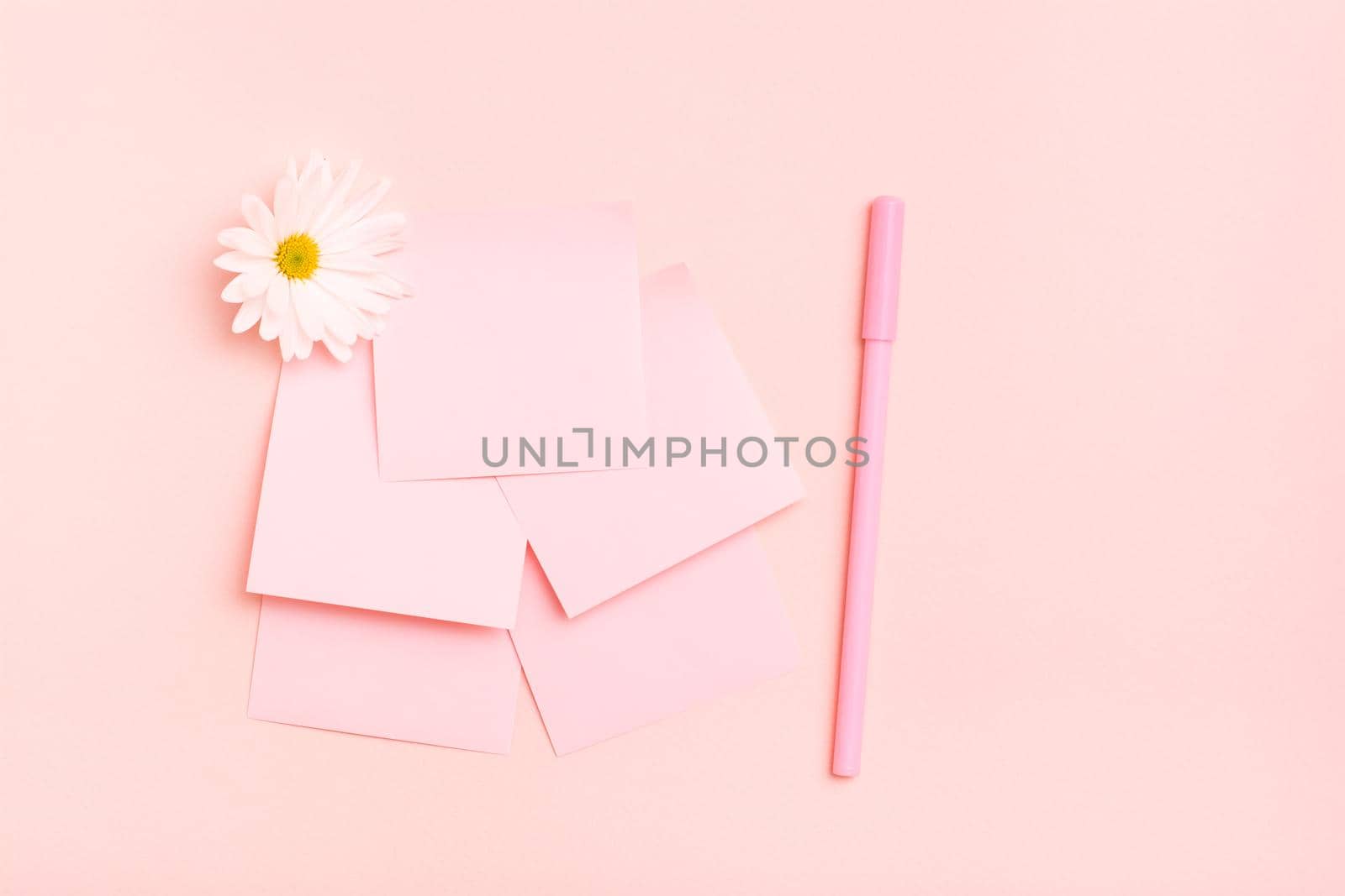 The concept is pink. Blank square small writing sheets, chrysanthemum and a pen on a pink background. Top view