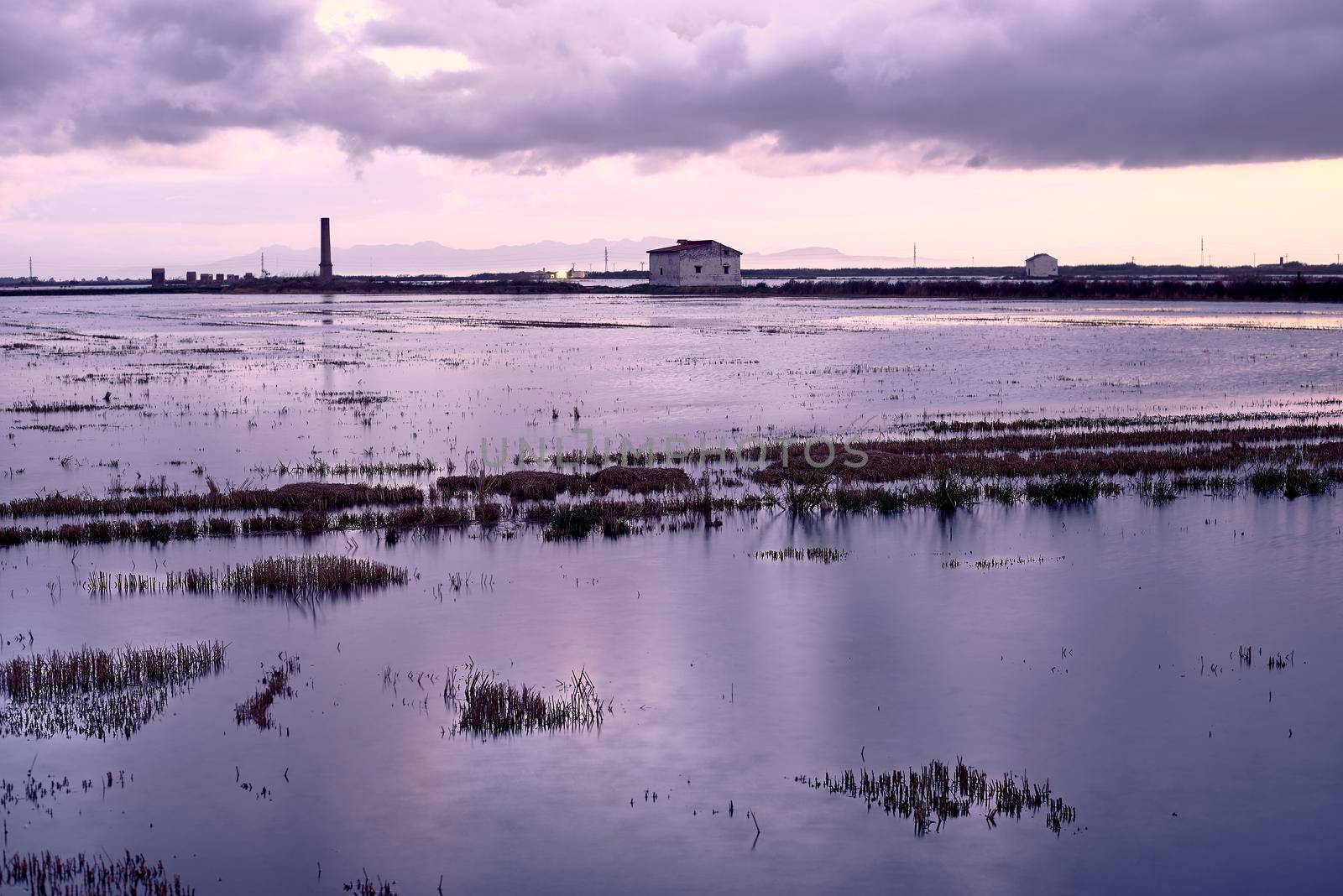 Flooded rice field for sowing with clouds, Albufera Valencia, storm, sunset, typical houses, solitary. Grey sky