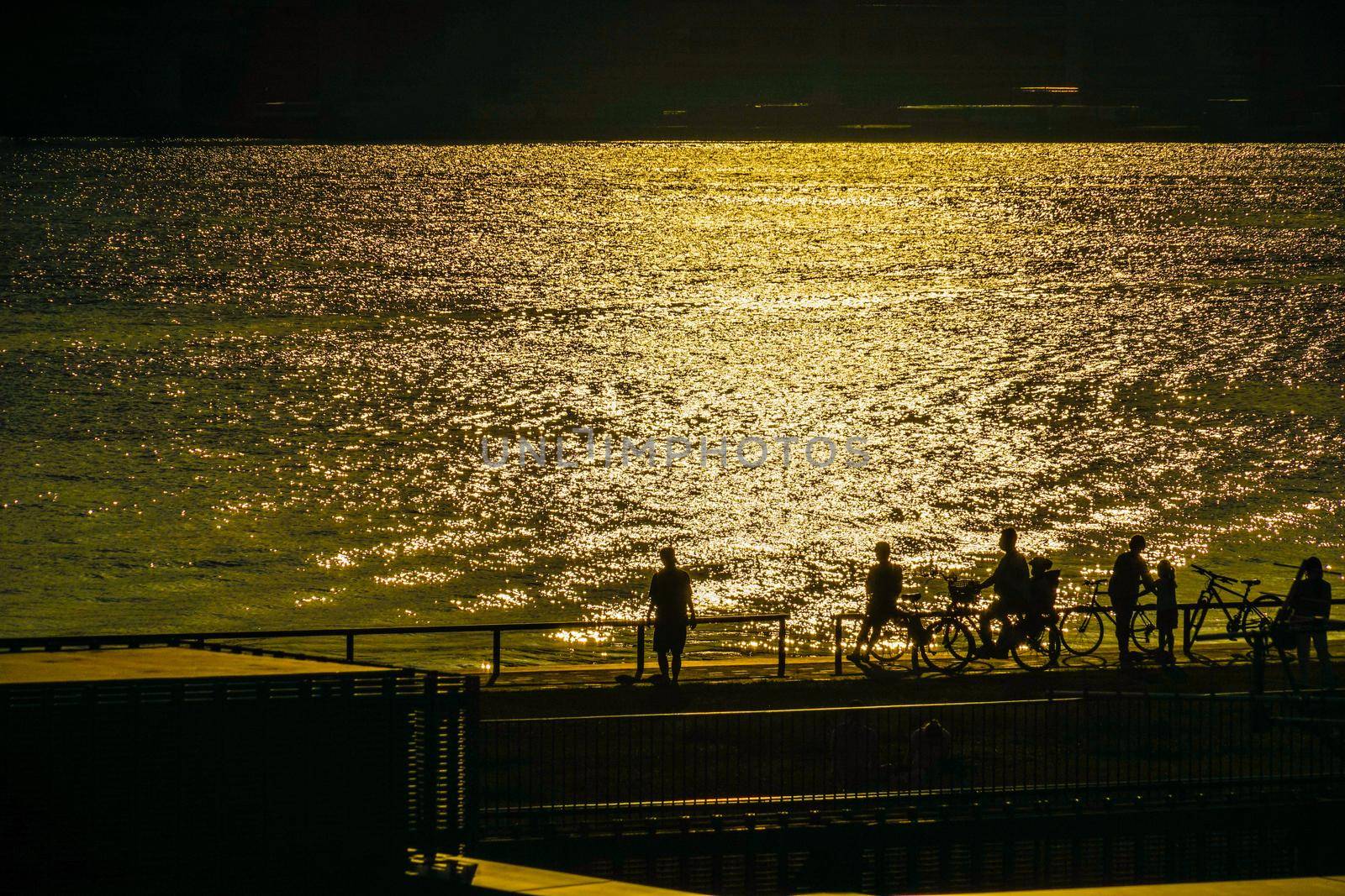 Silhouette of Toyosu Gurari Park and People. Shooting Location: Tokyo metropolitan area