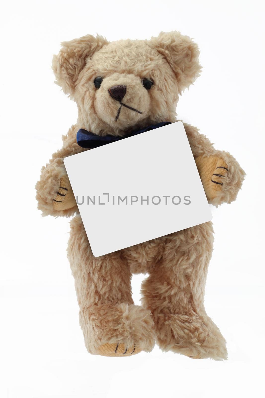 A cute teddy bear holding a blank message copy space