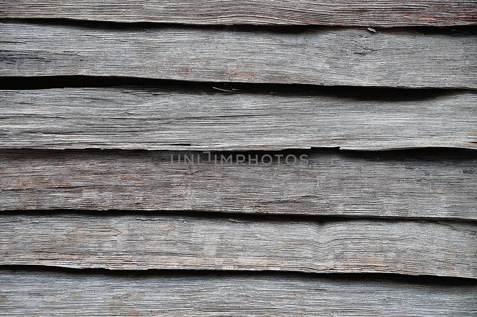 old unpainted wooden fence, texture for natural background close-up