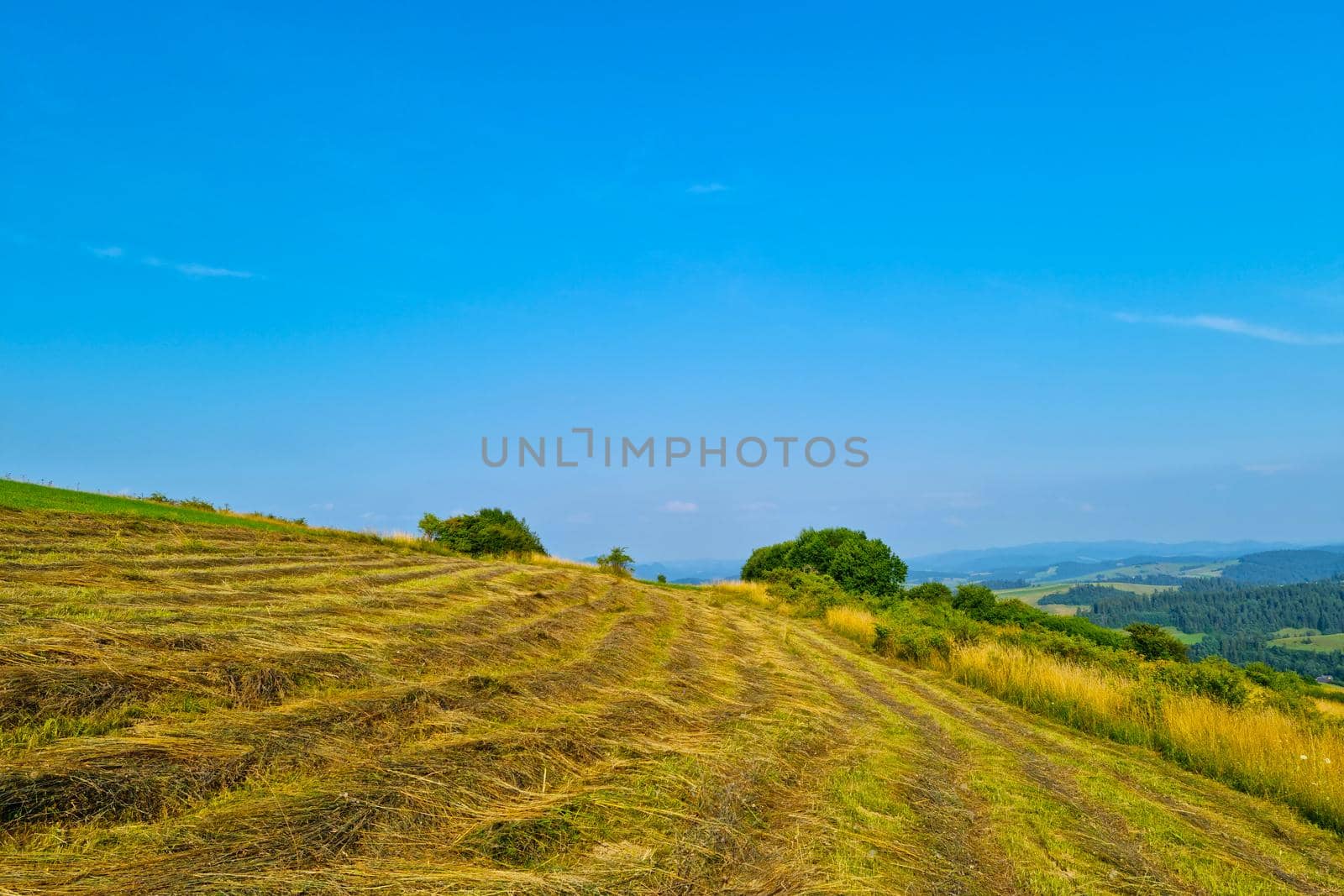 Beautiful picturesque view of the slope of rural fields in the mountainous area