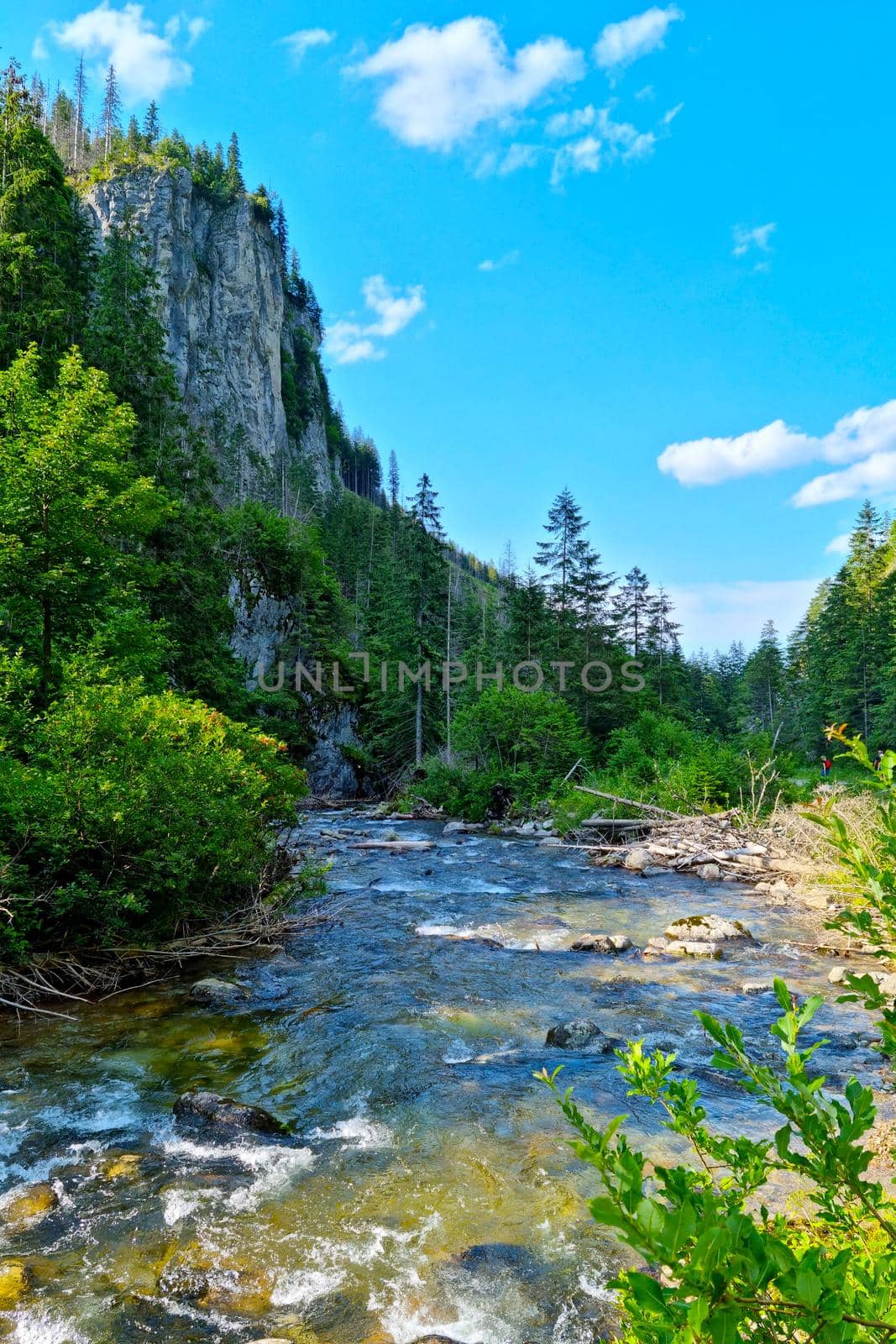 A small river flows through the rocks near the mountainside