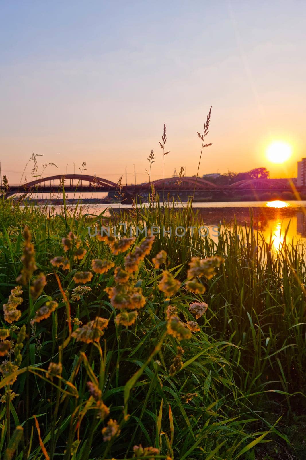 Beautiful picturesque sunrise or sunset on the banks of the river in the city