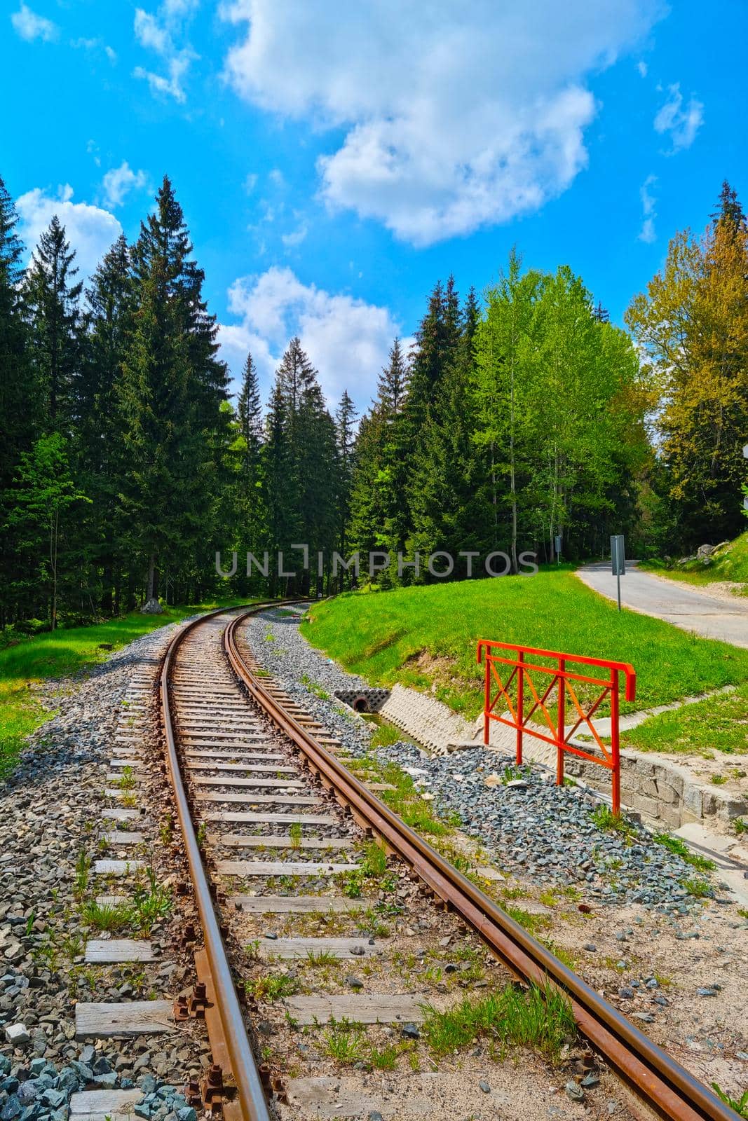 A picturesque railway track through a green forest