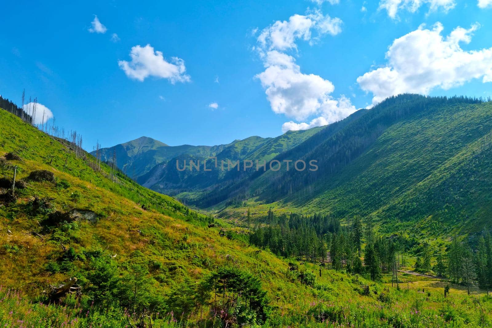 Picturesque mountain valley during the hike. Wonderful landscape with high mountains. Beautiful nature background. Green hills of mountains. Outdoor travel on vacation. by kip02kas