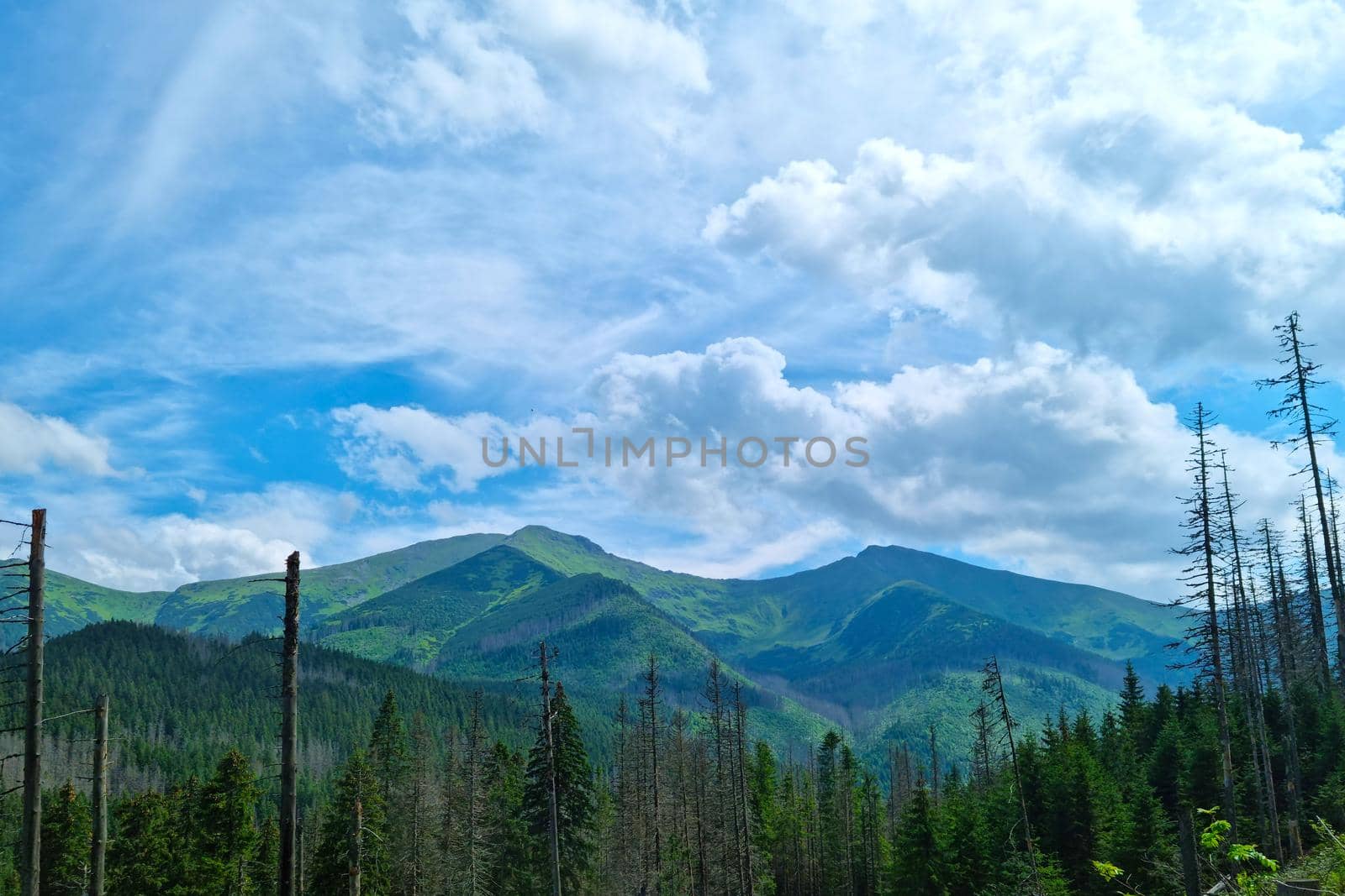 Scenic mountain views with dramatic skies. Walking in the mountains, fresh clean air, active rest. Nature background